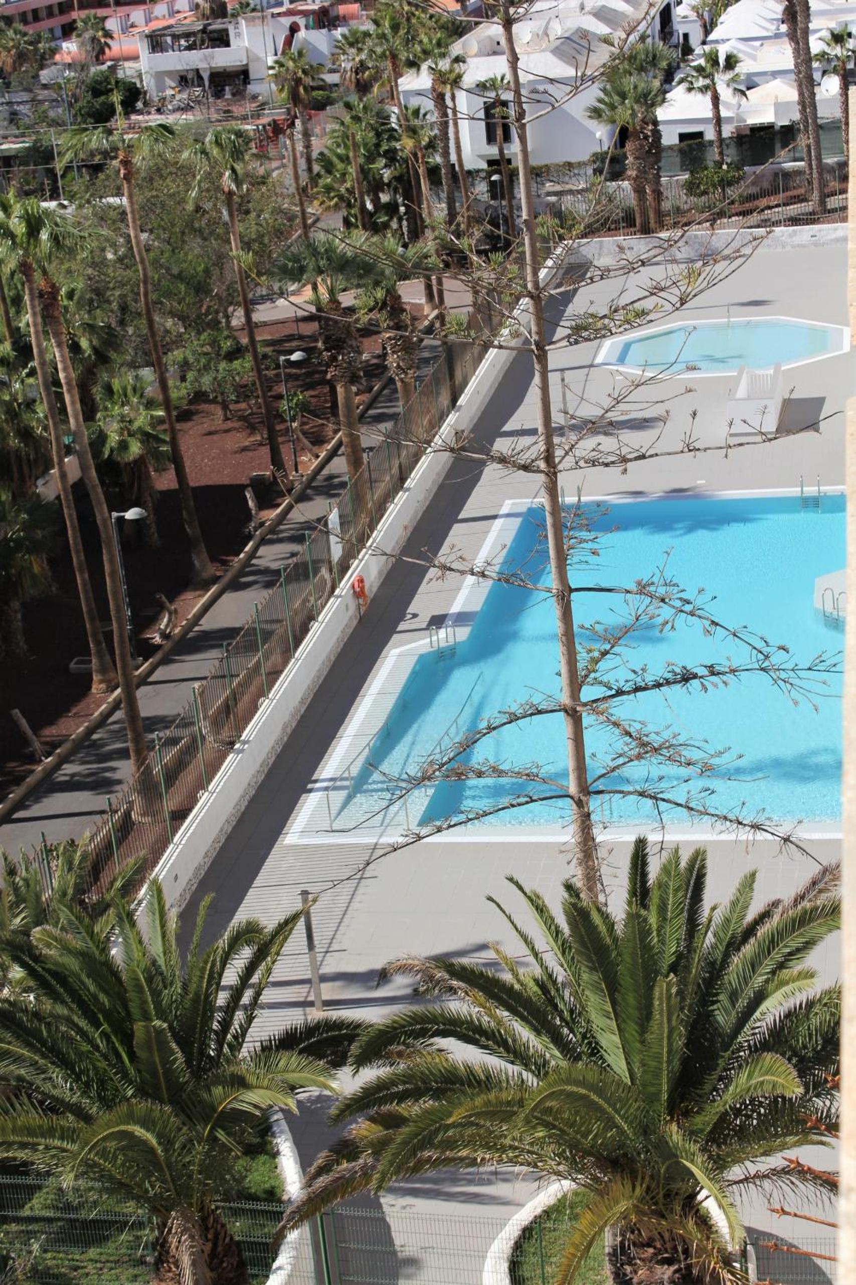 Superb seaview apartment in Playa de Las Americas