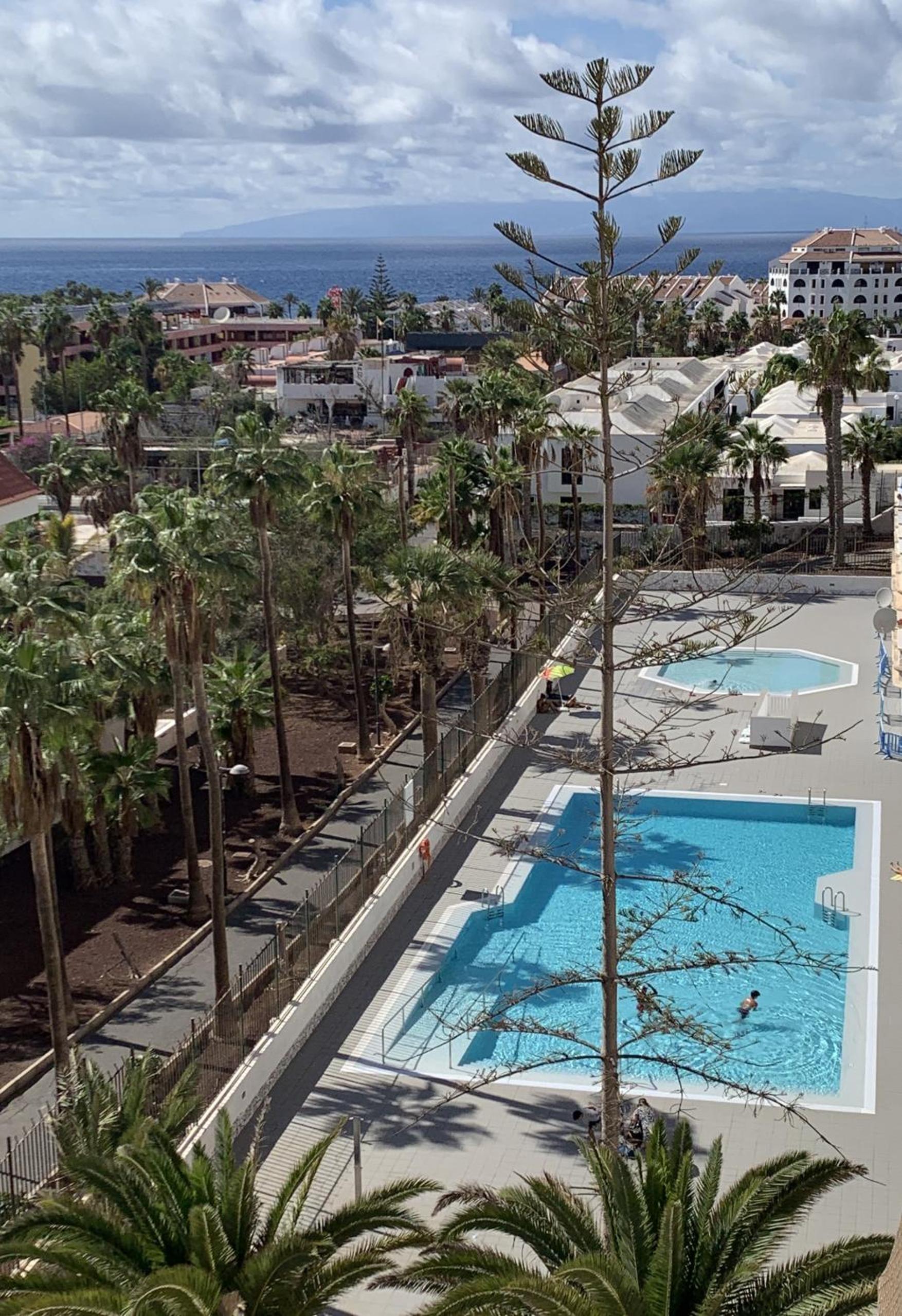 Superb seaview apartment in Playa de Las Americas