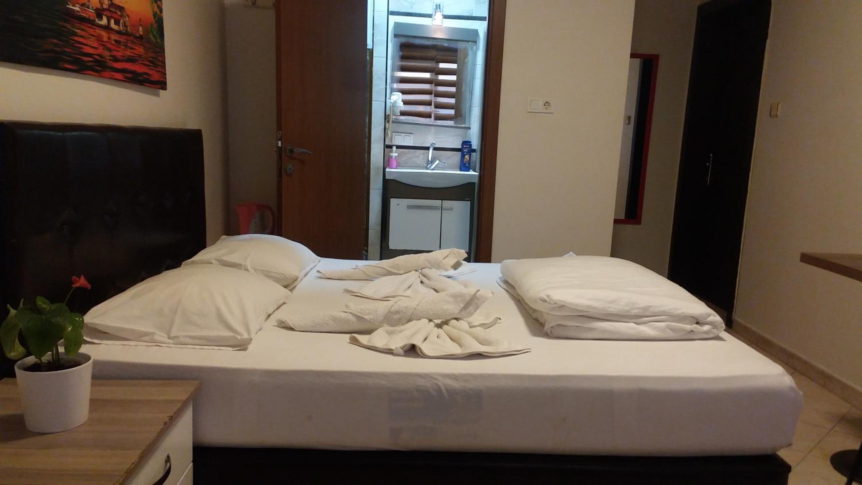 Hotel Kiwi - Image 5