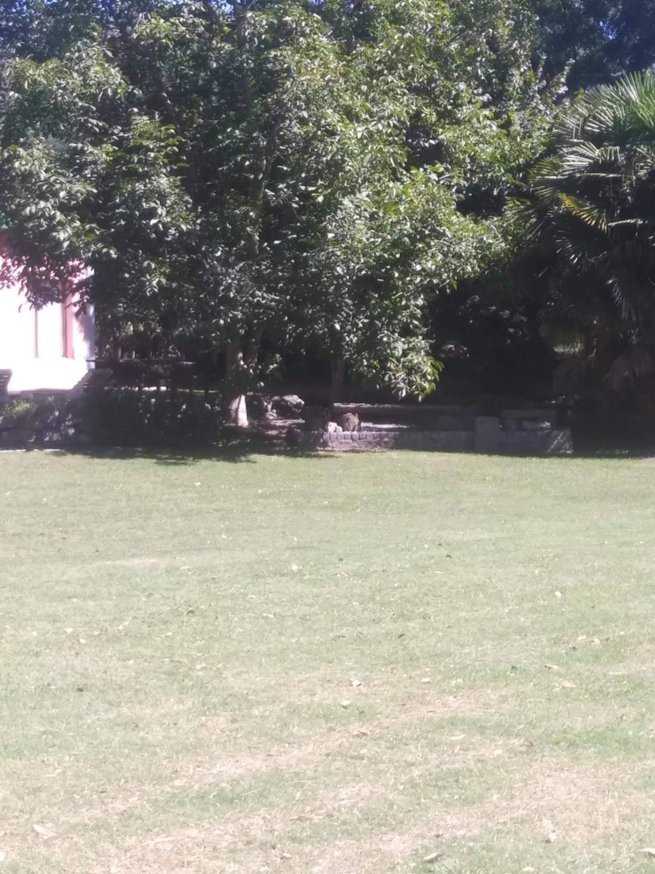 Rancho Apar T -