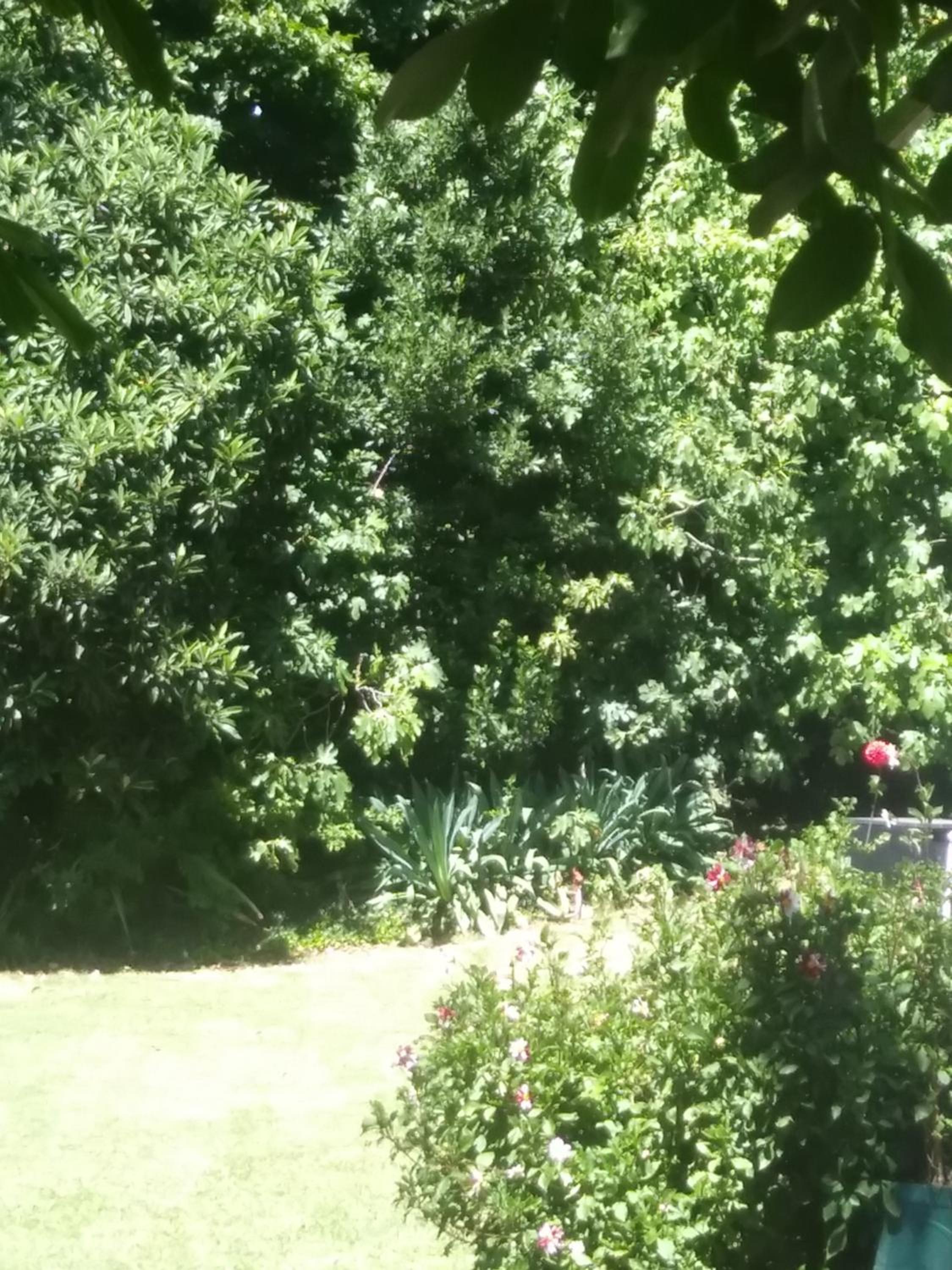 Rancho Apar T -