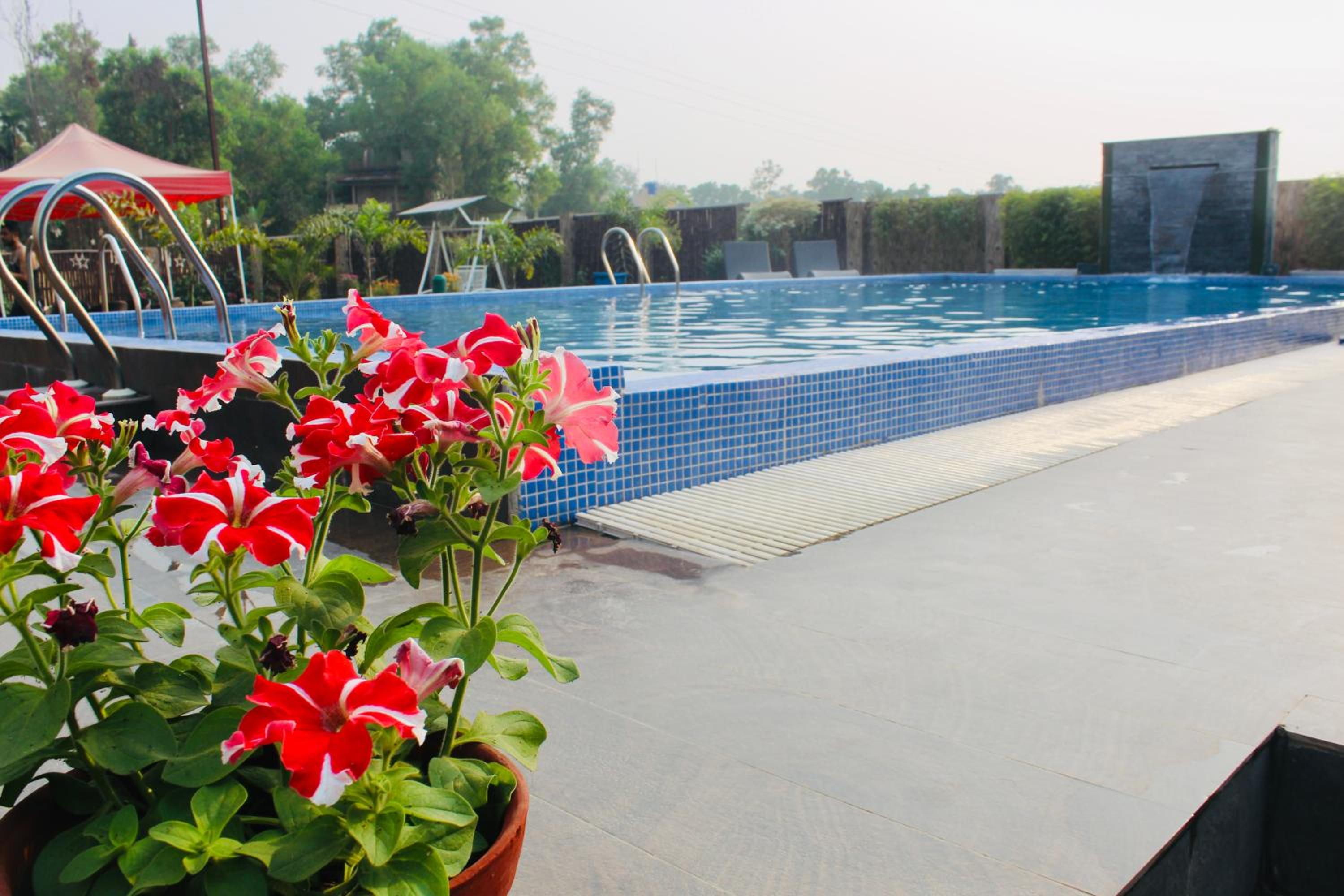 The Cristallo Resort