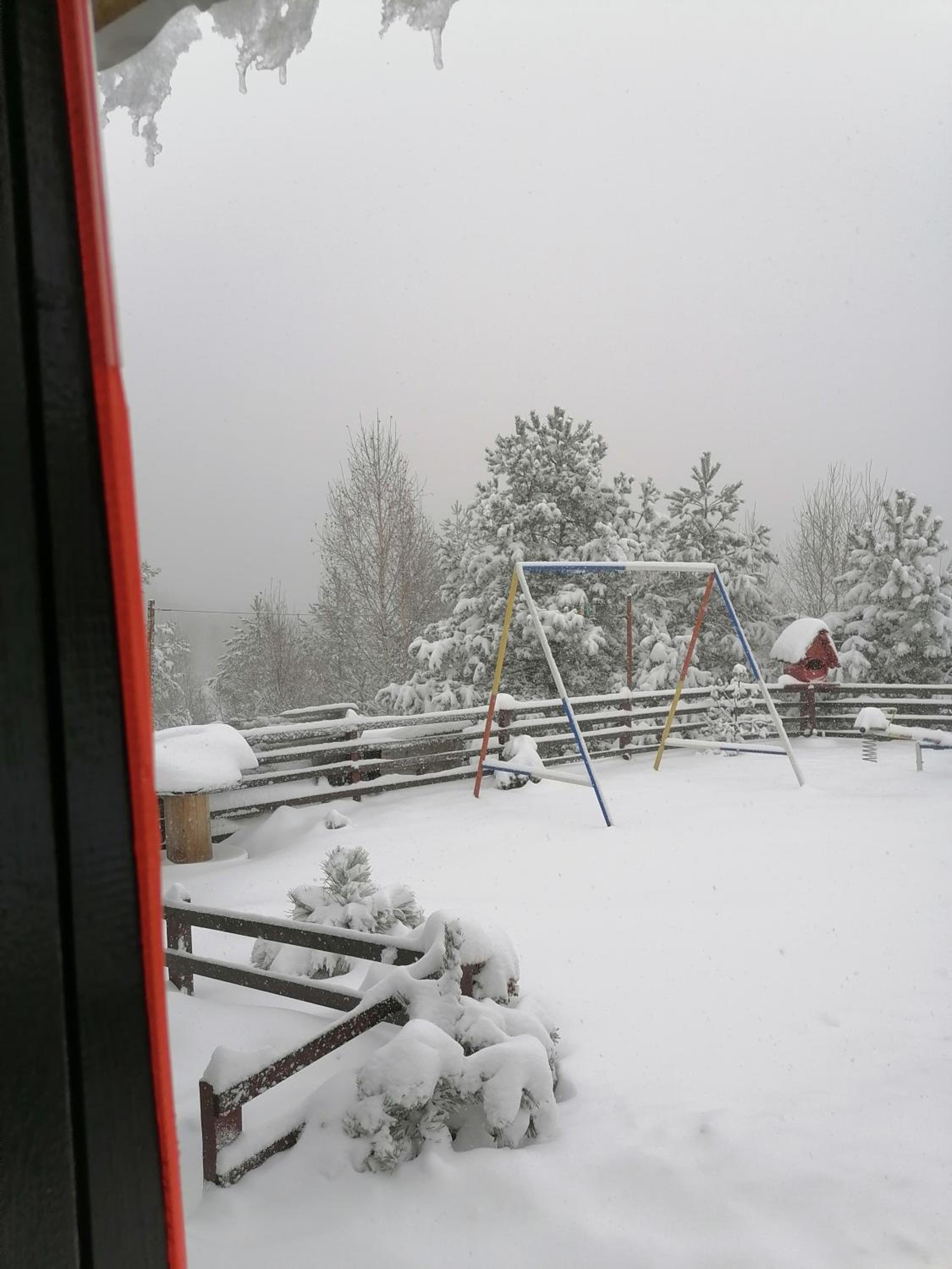 Photo 42