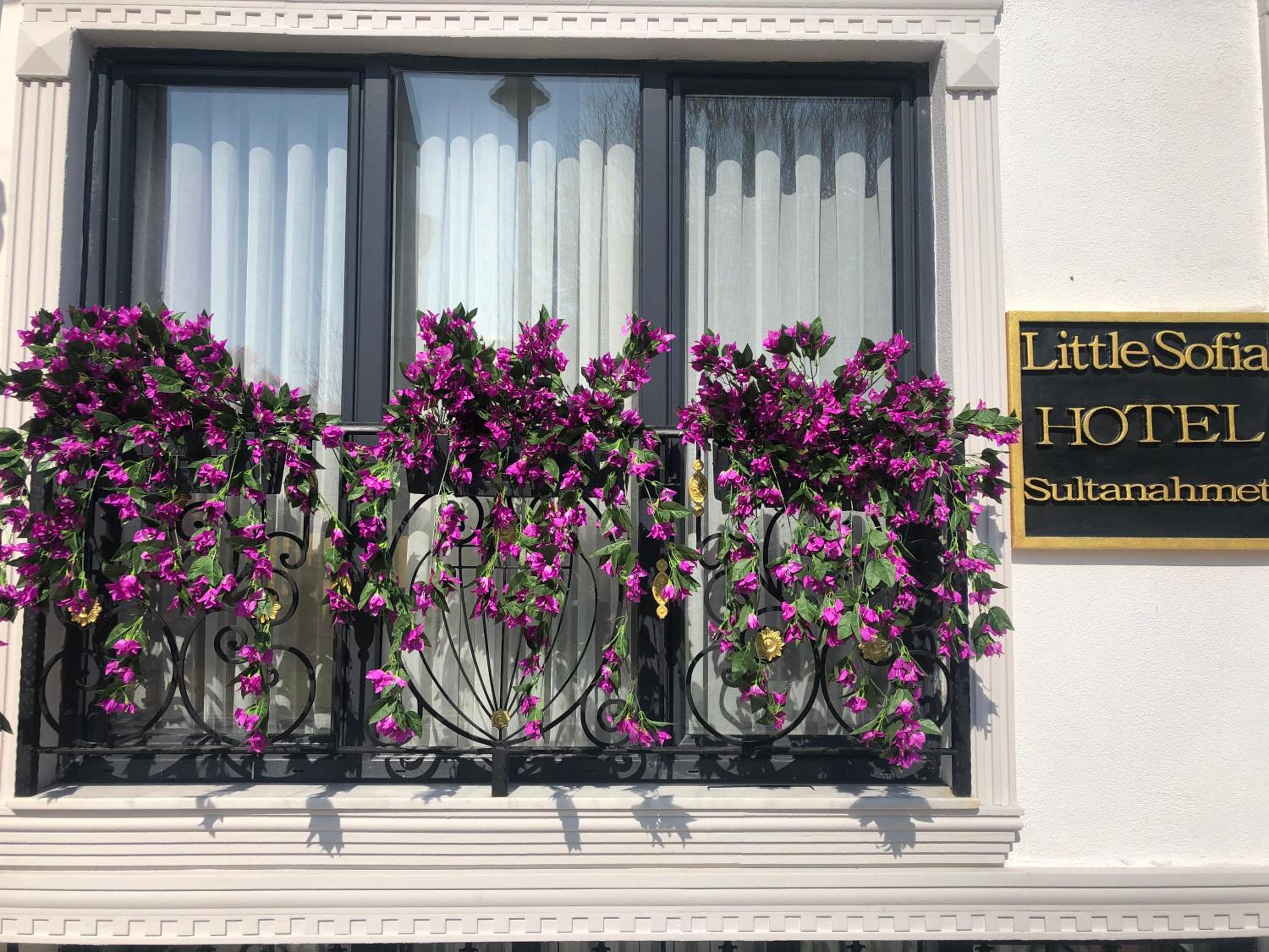 Little sofia hotel