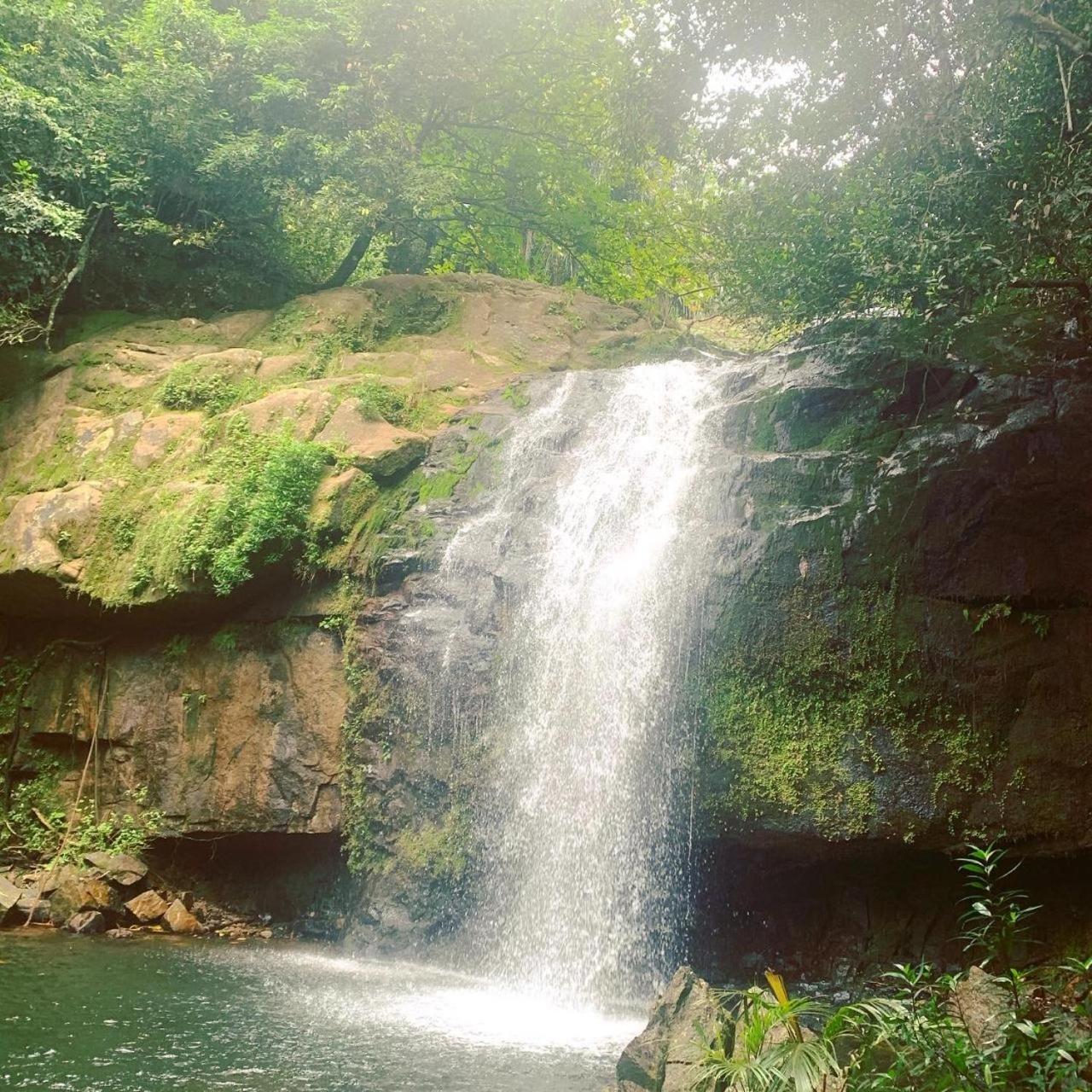 Waterfall Accomodation photo 2