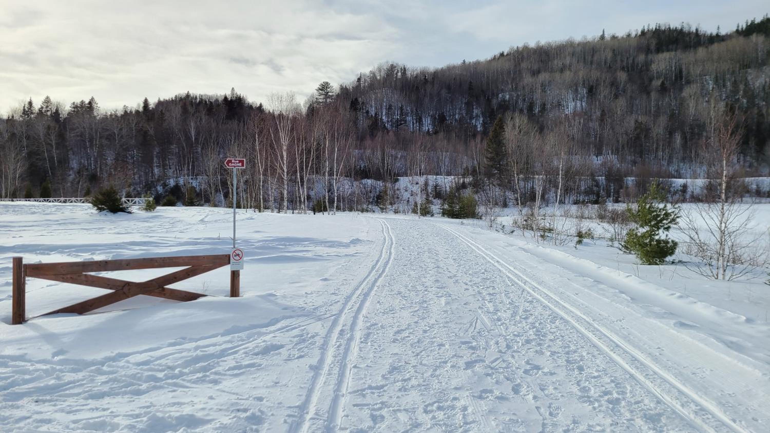 Condo-chalet de la Vallée d'Édouard