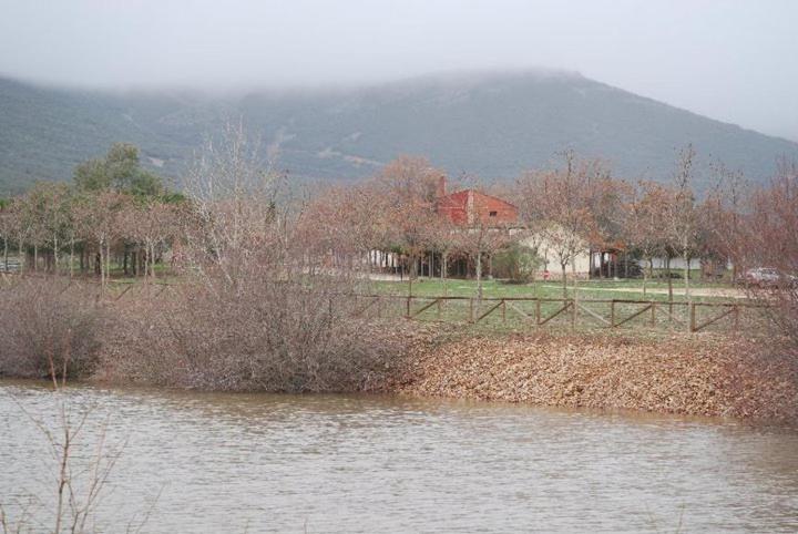 La Dehesa Boyal view 4