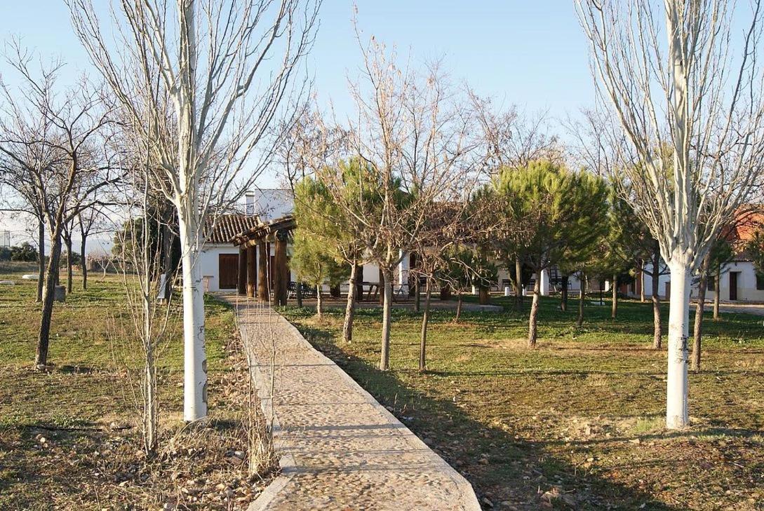 La Dehesa Boyal view 3