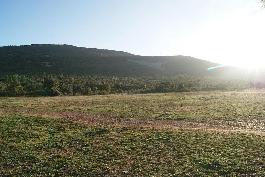 La Dehesa Boyal view 2