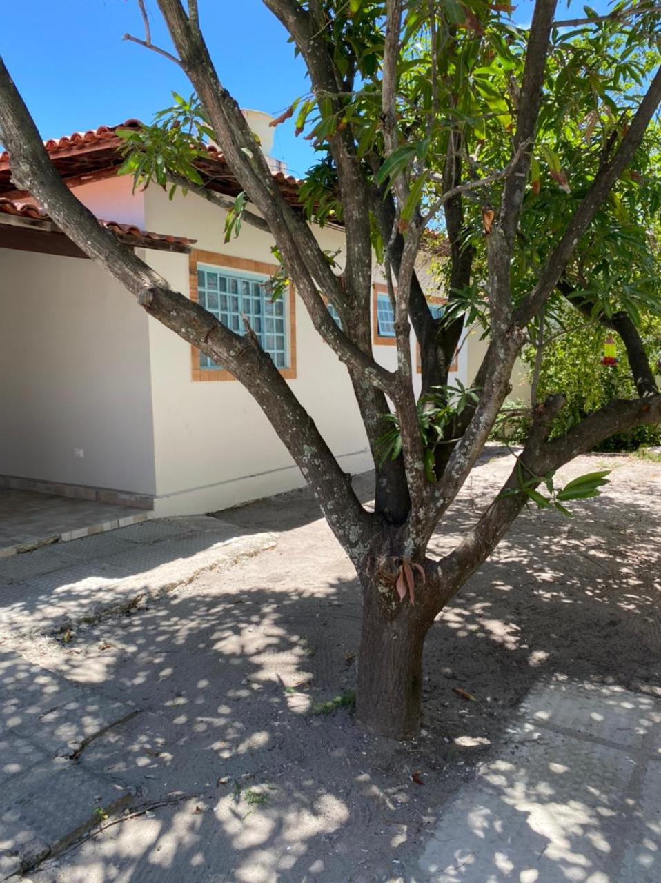 Casa em Maracaipe/Porto de Galinhas