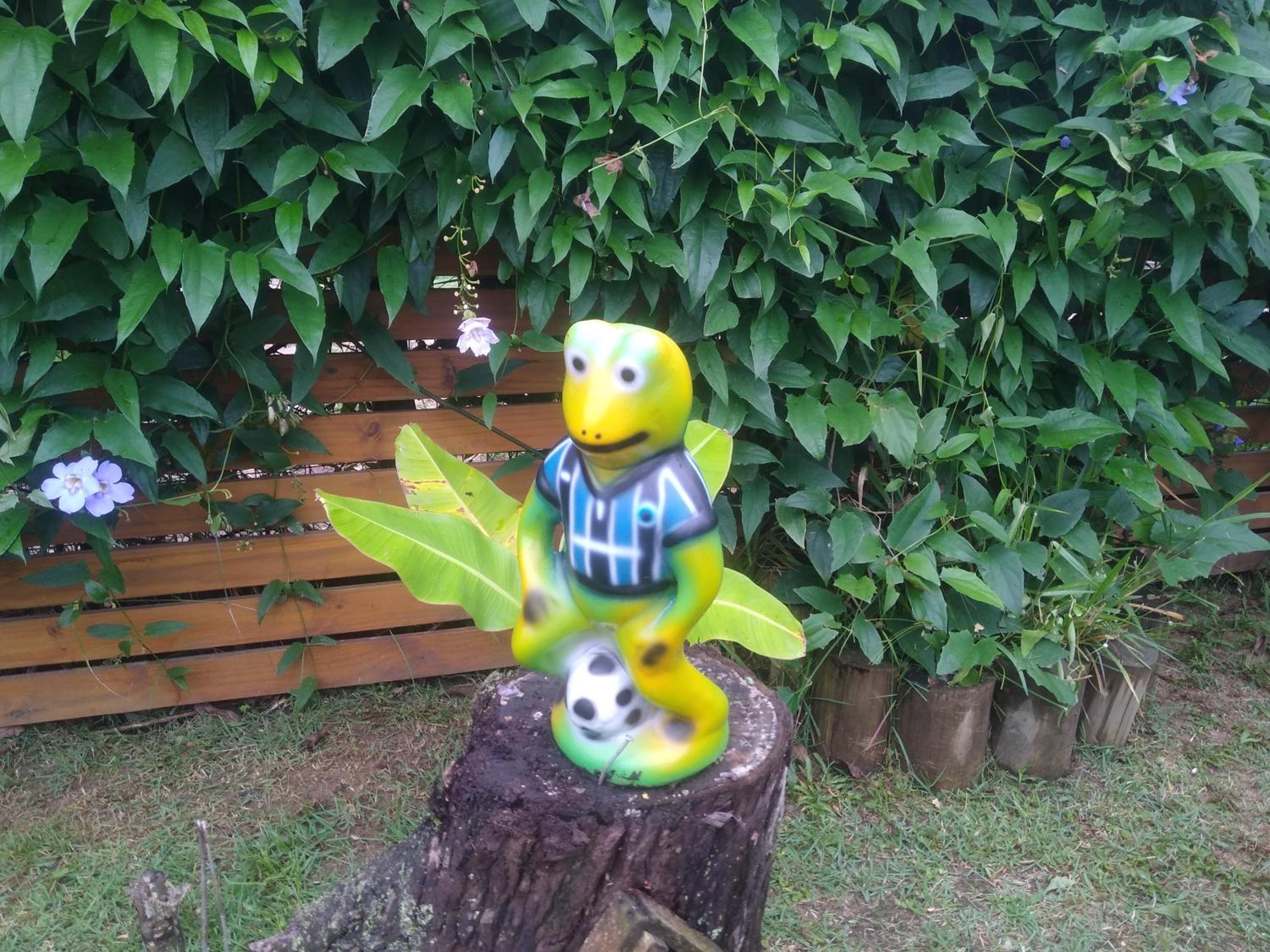 Photo 51