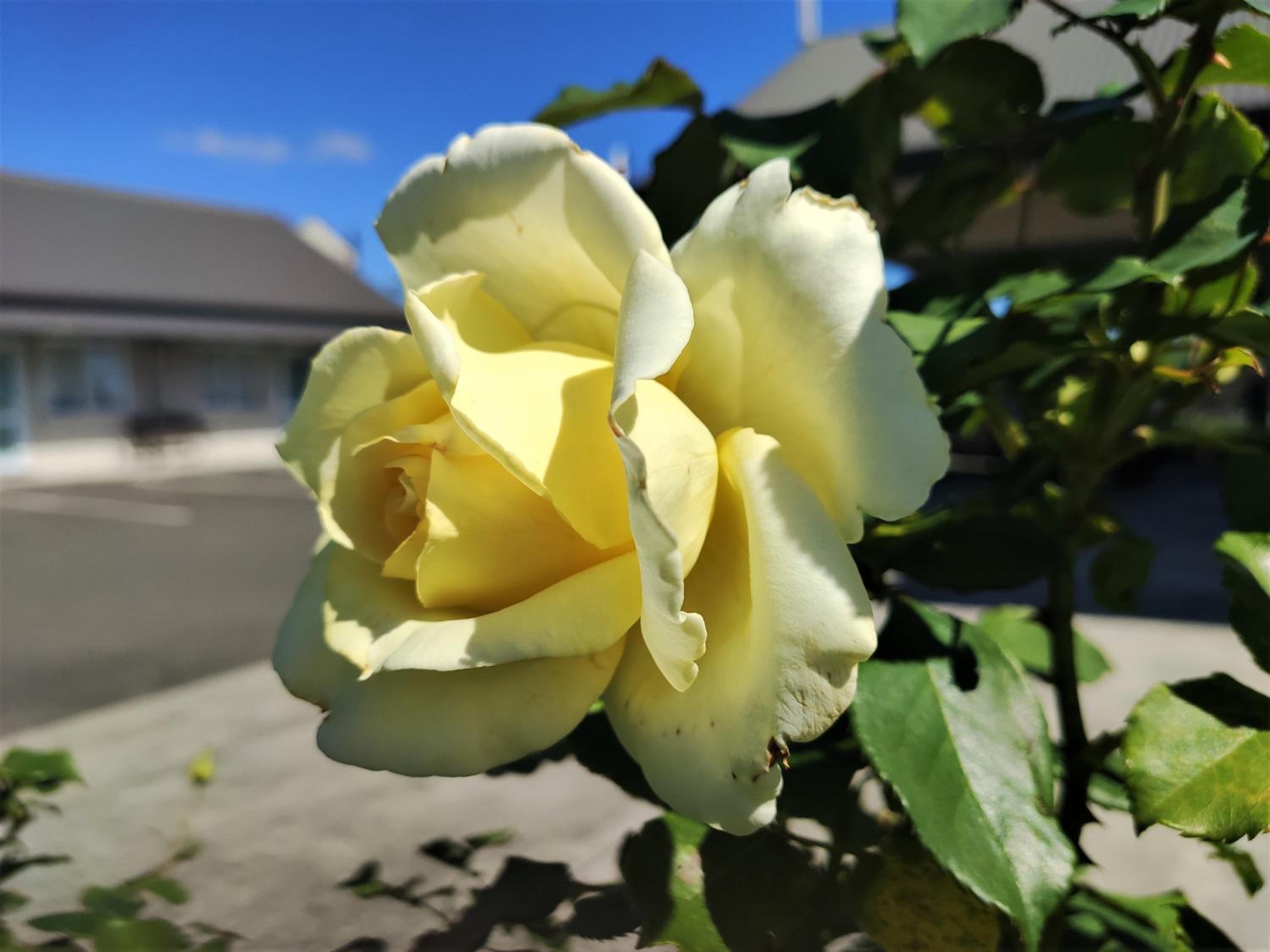 Photo 32