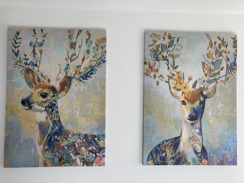 TERRASSES DE MALMEDY Triplex 242 