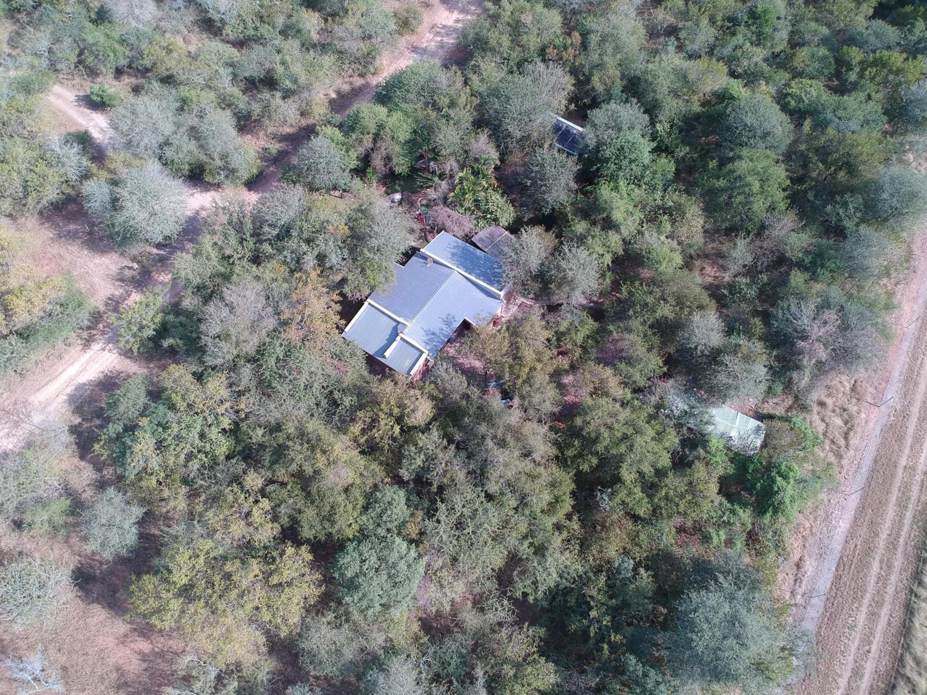 Bellamia view 4
