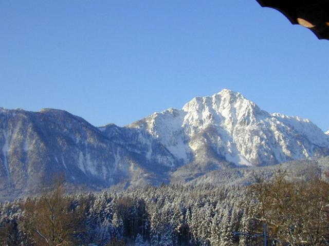 Kochhof