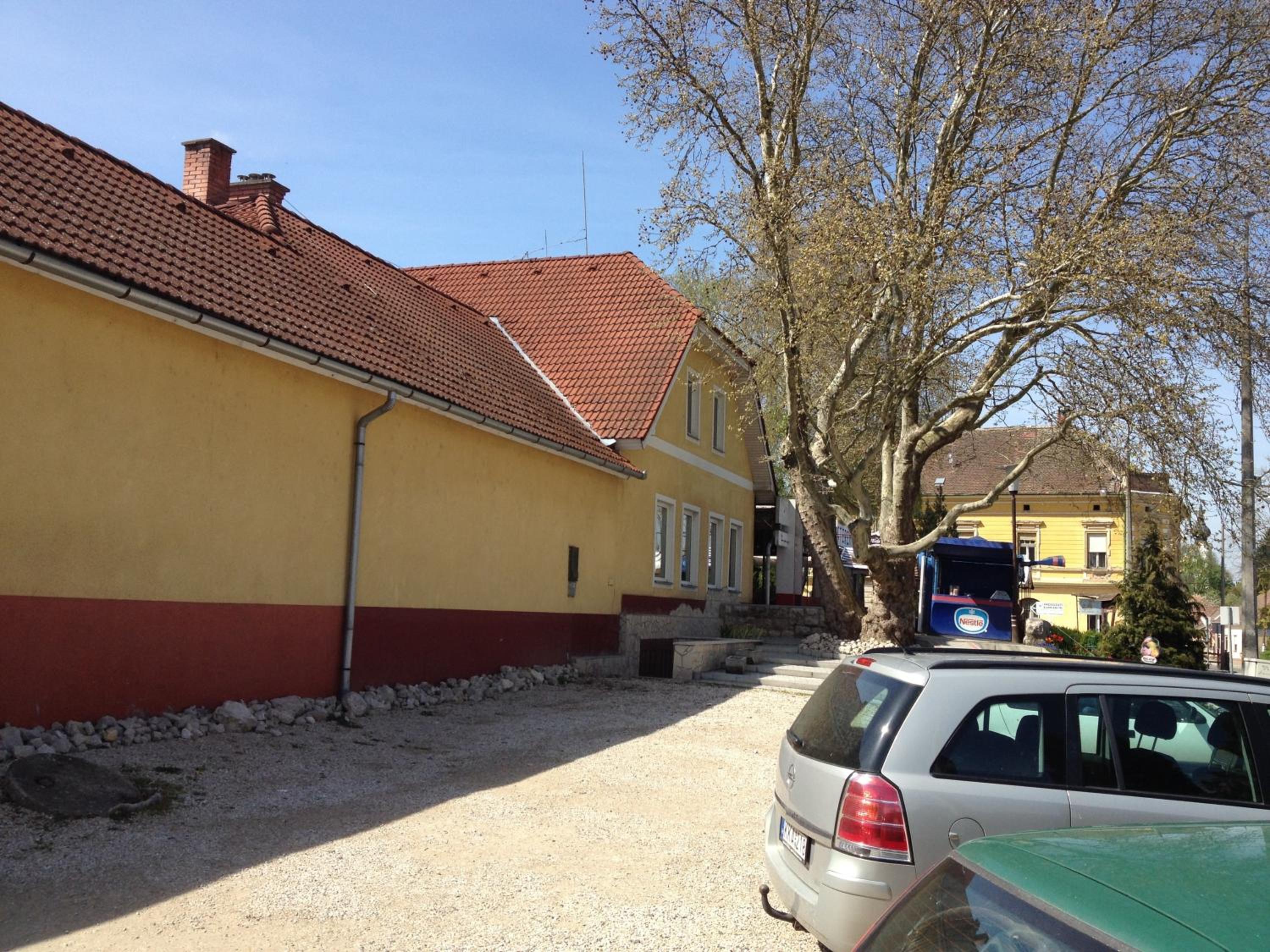 Photo 12