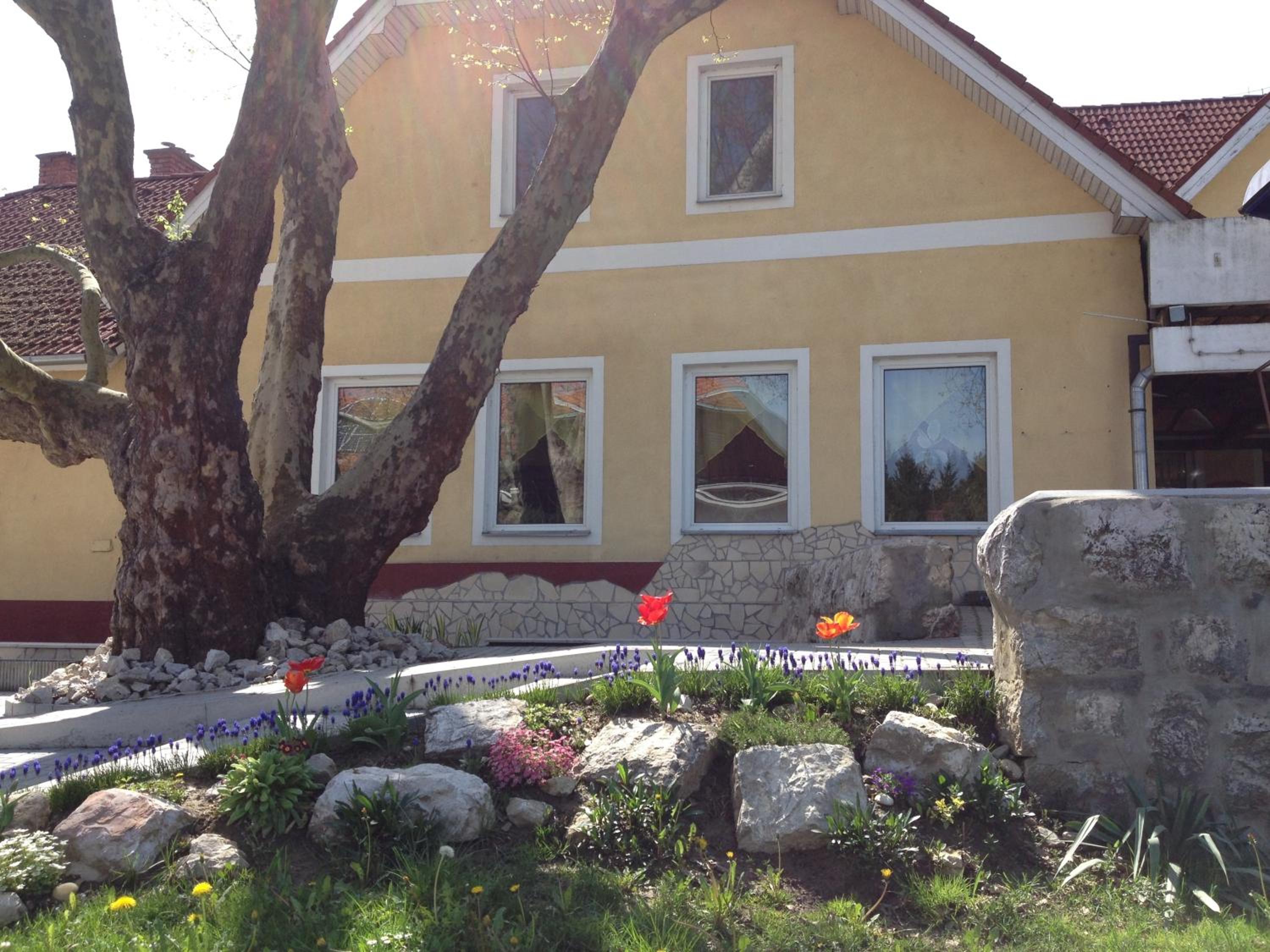 Photo 13