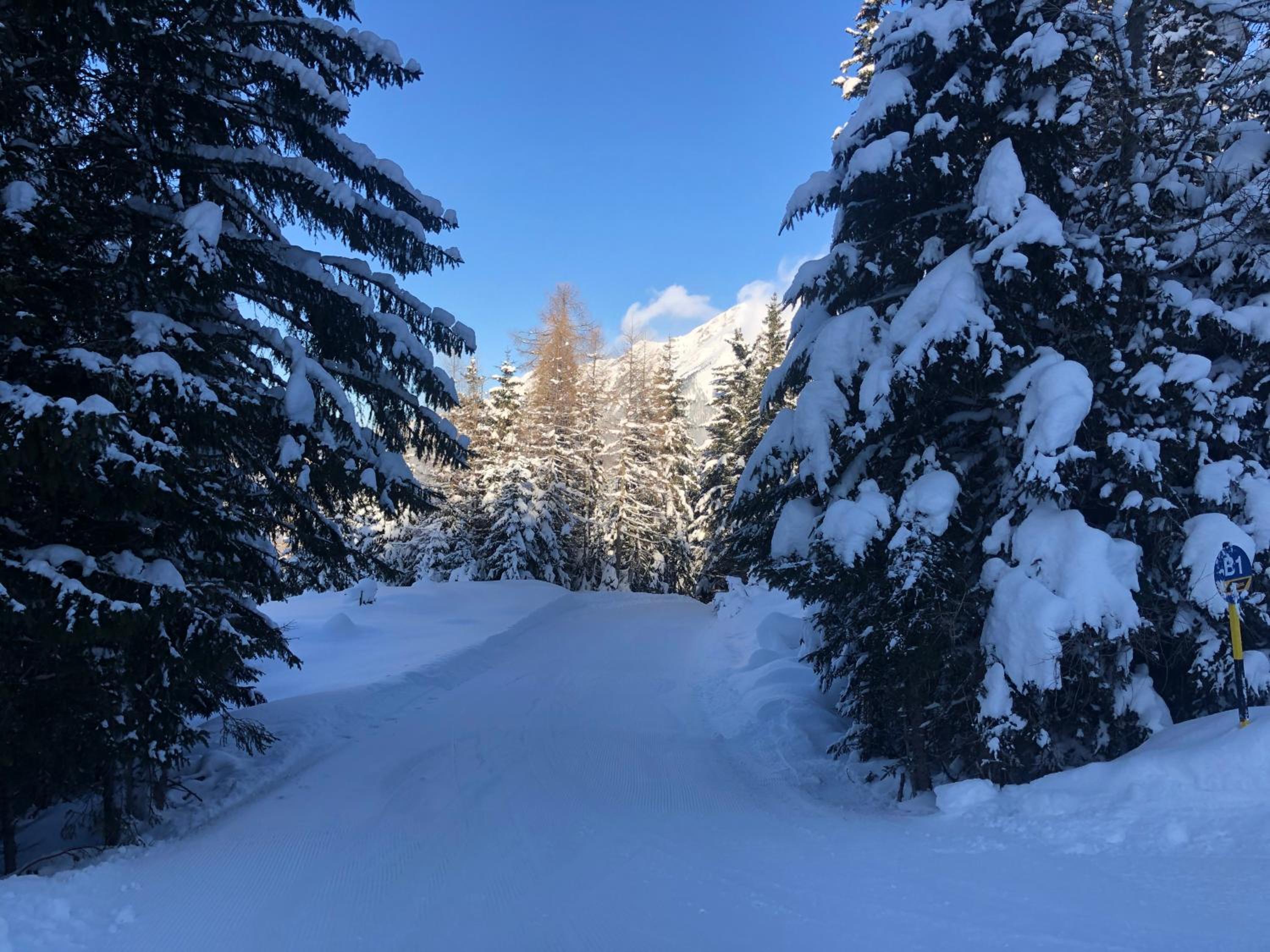 Grenzberg - Bad Gastein