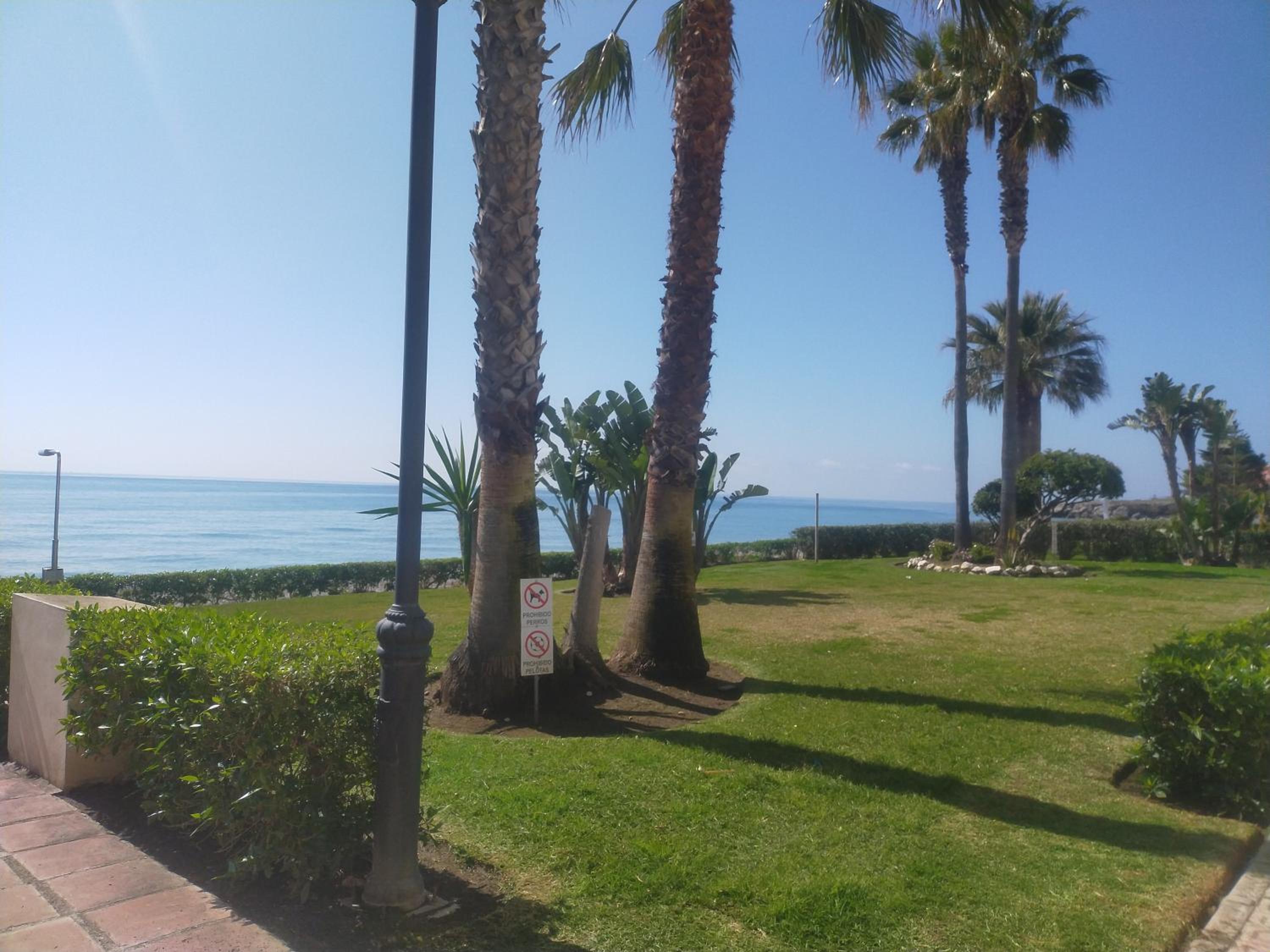Apartamento jardindelmar view 5
