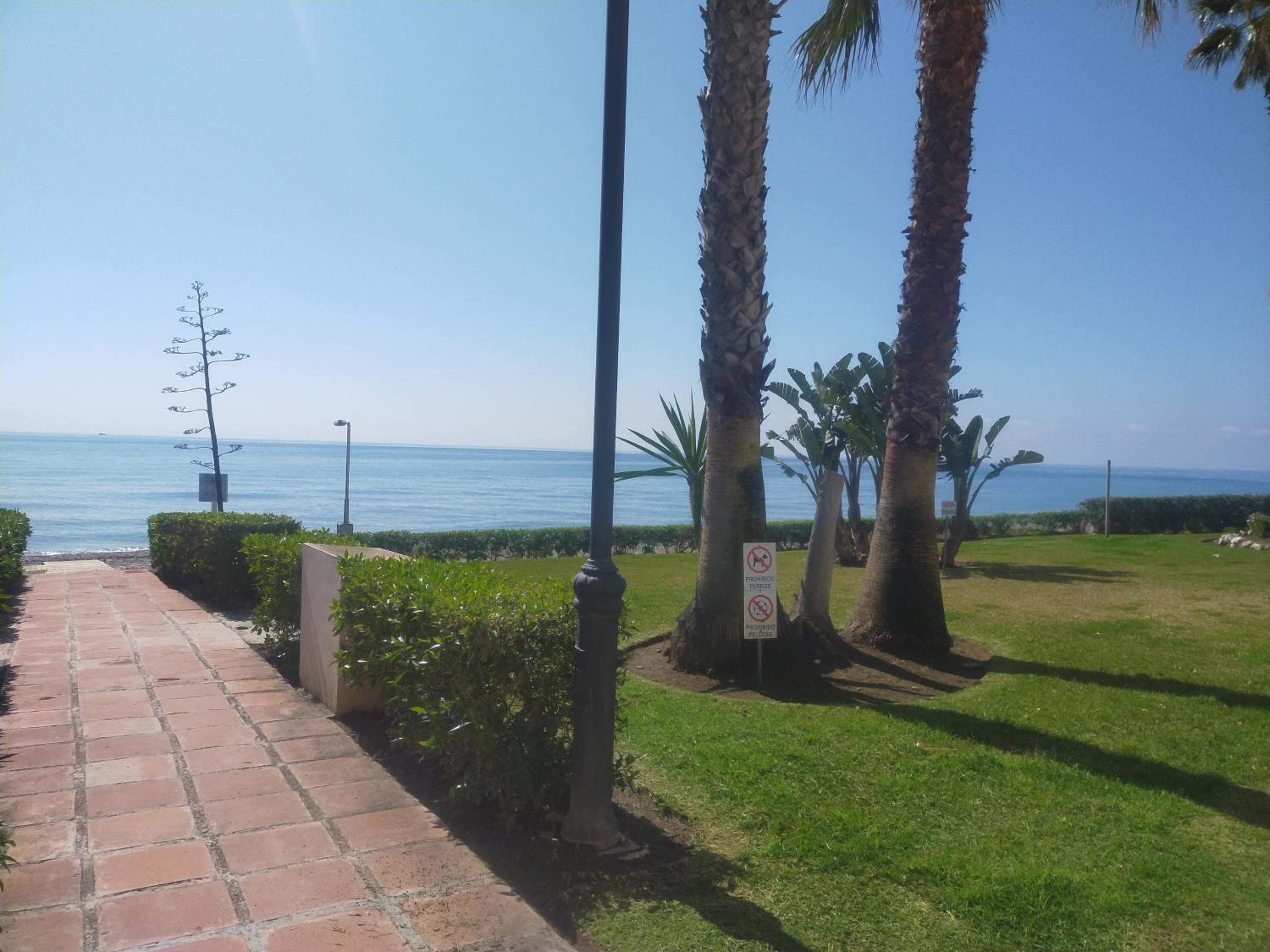 Apartamento jardindelmar view 4