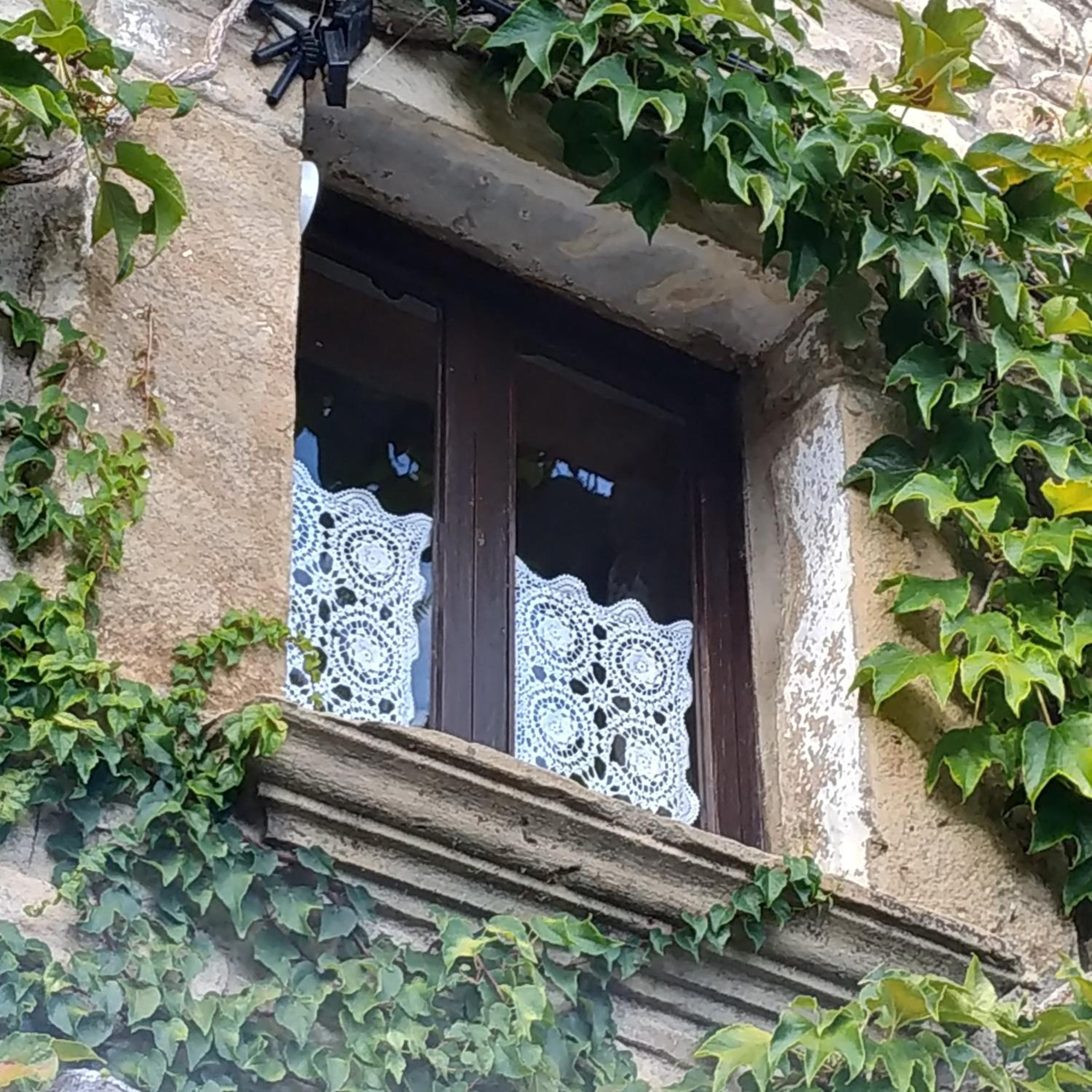 Casa Abadía de Banaguás view 5