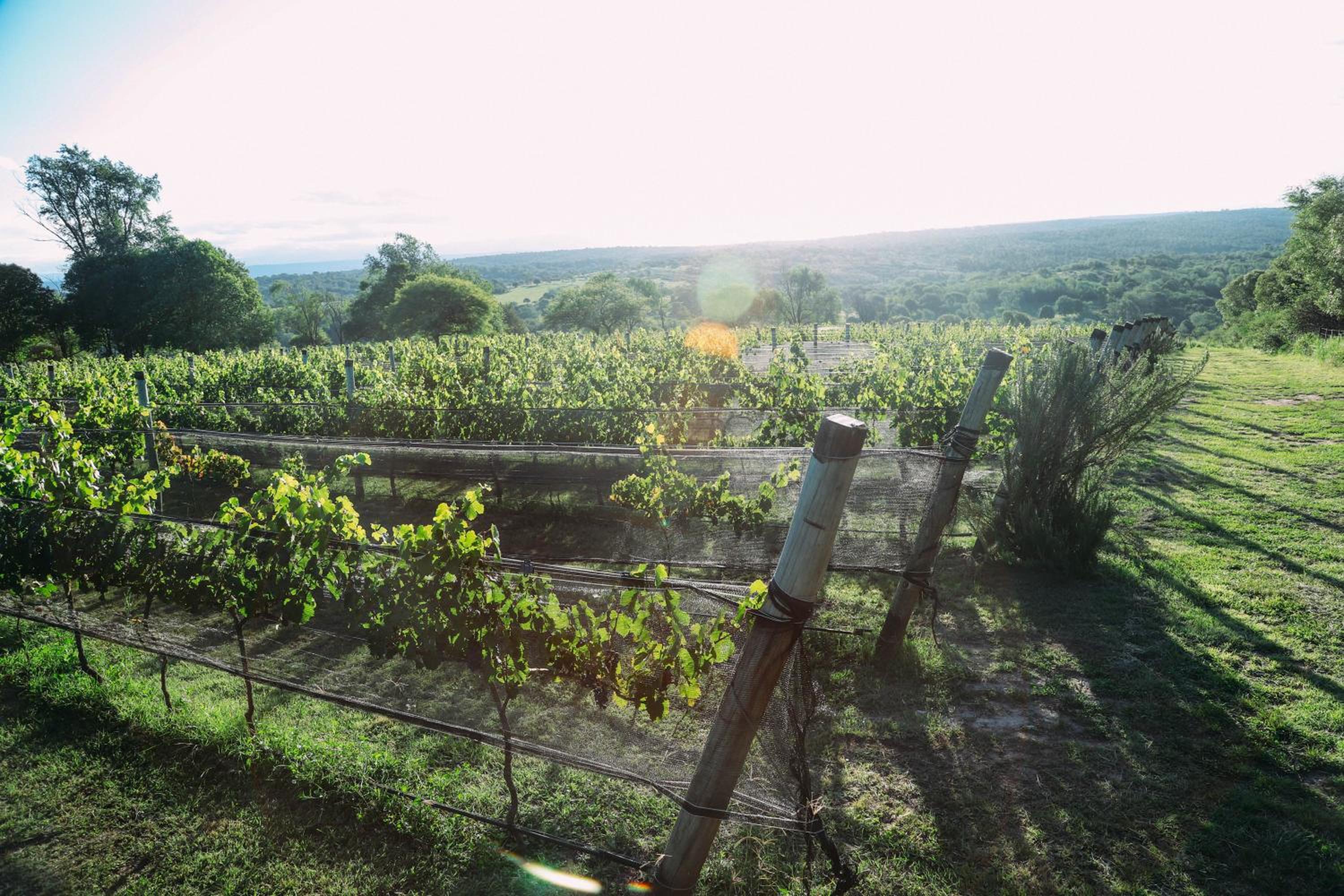 Cabaña Sol - FINCA PUDUAM