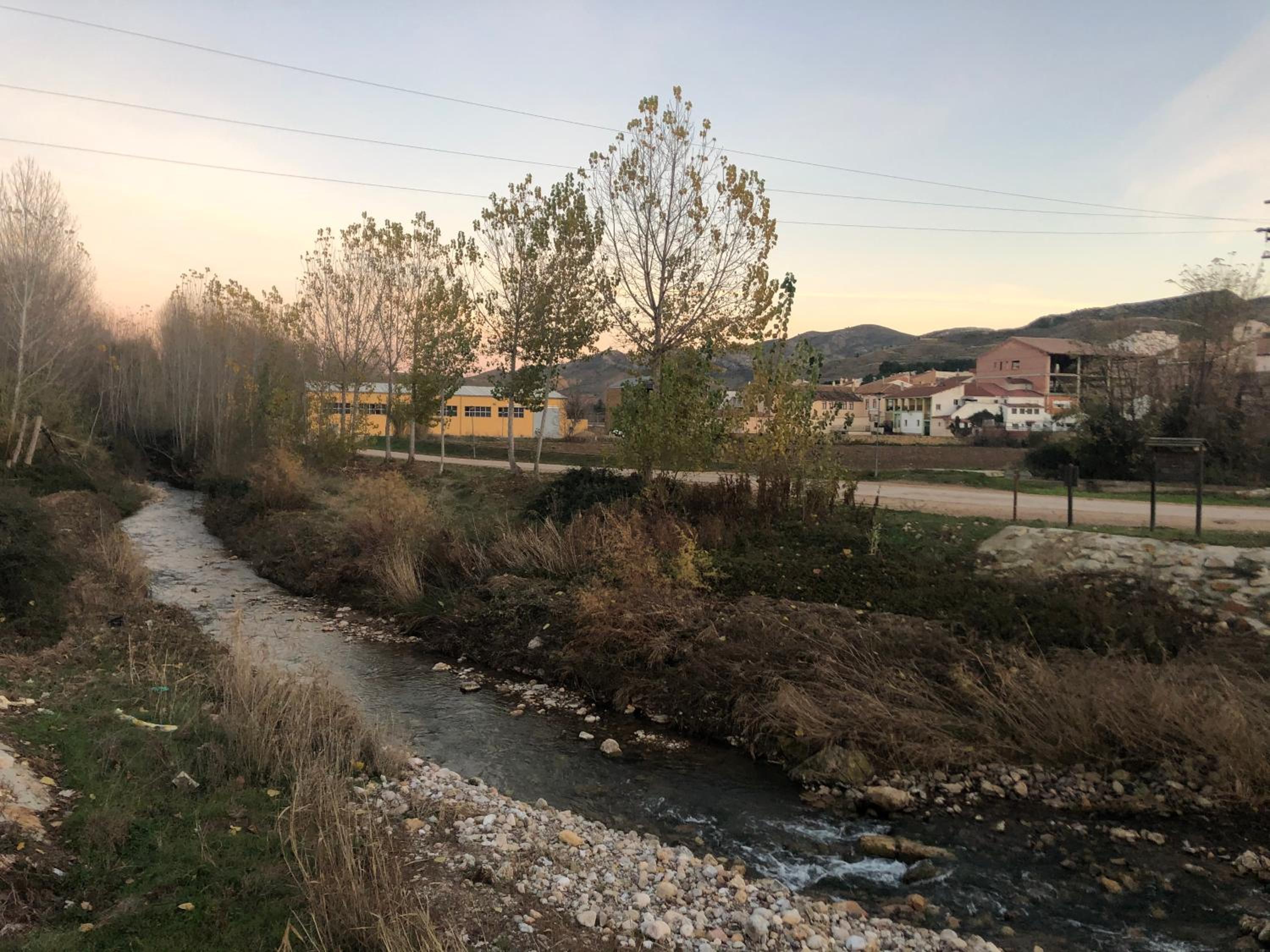 Photo 17