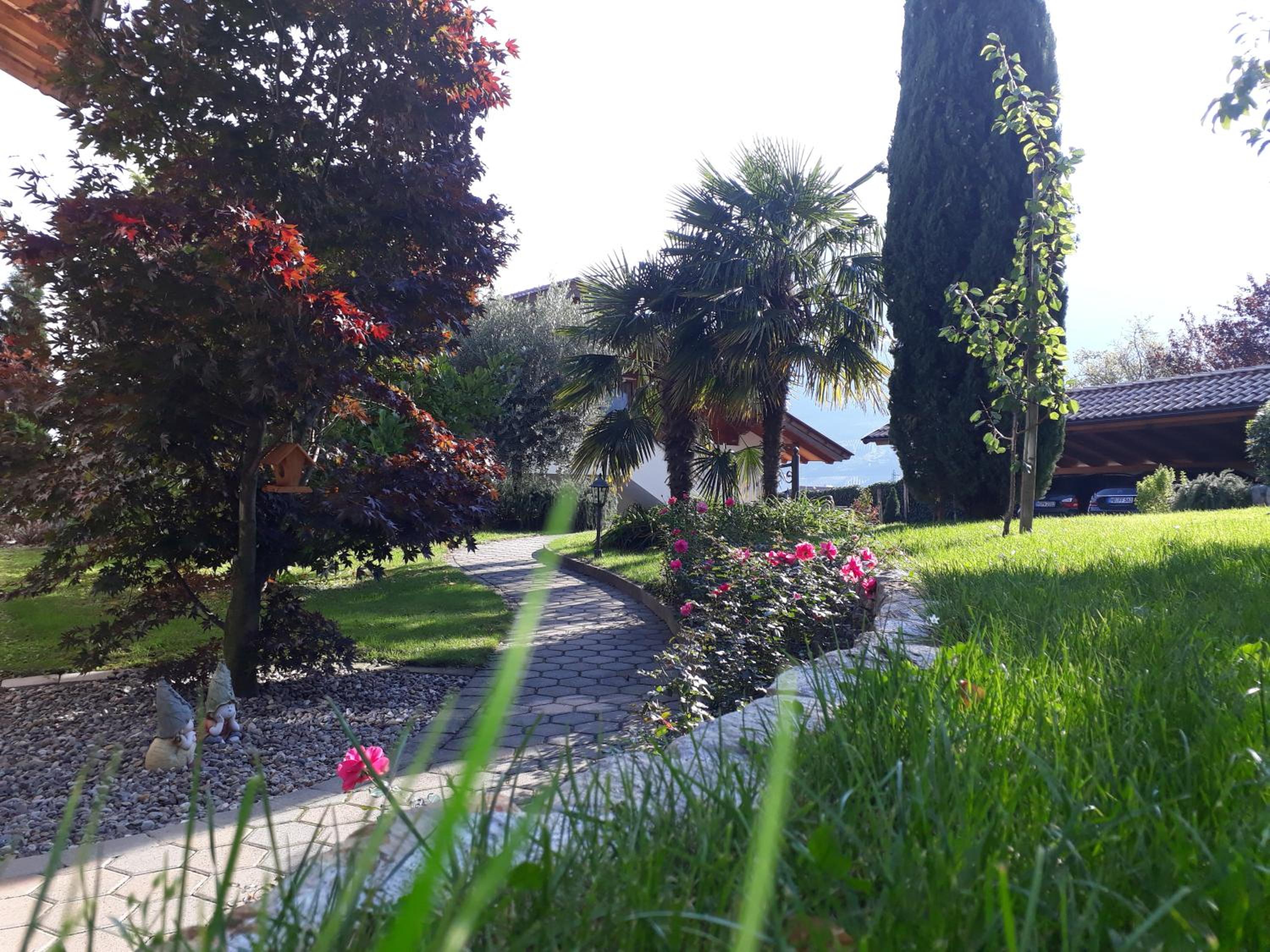 Photo 44