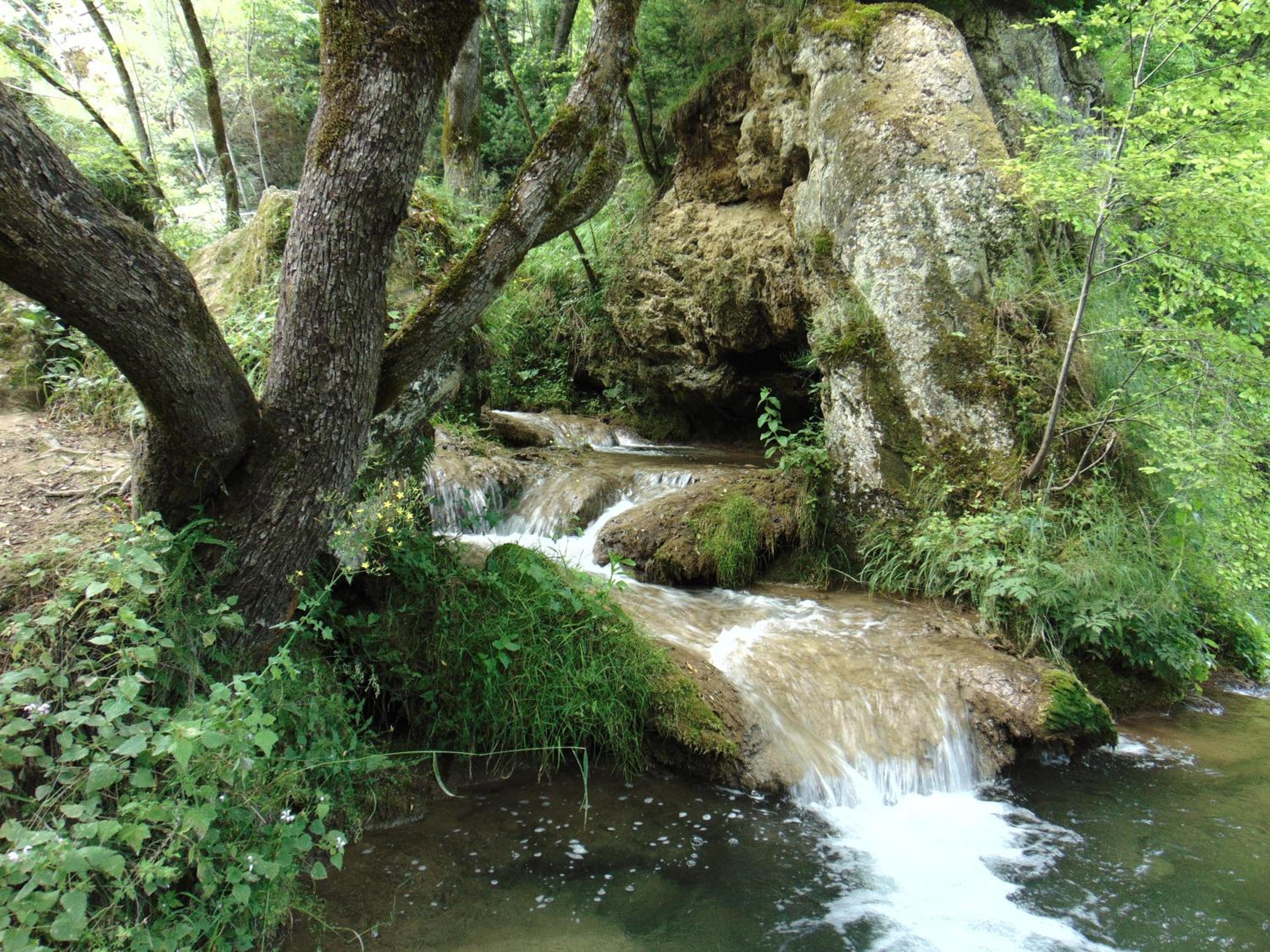 Photo 25
