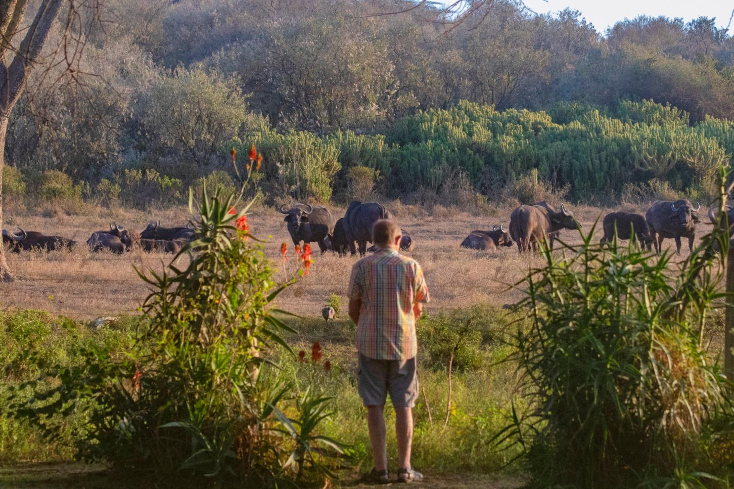 Chui Lodge