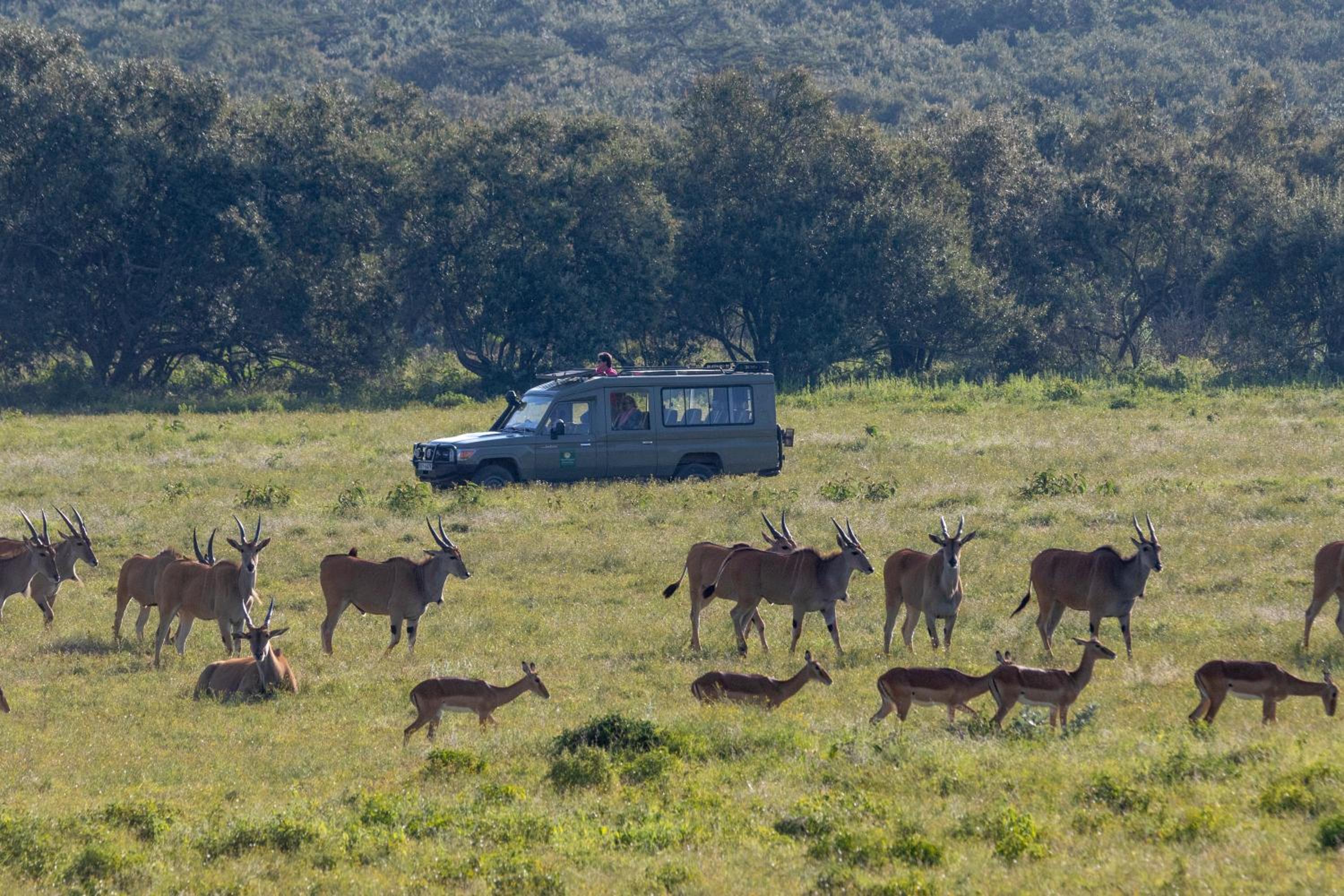 Chui Lodge