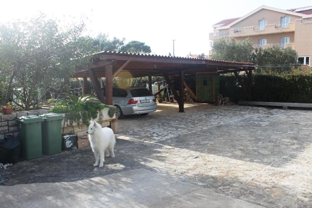 Summer house in Novalja view 3