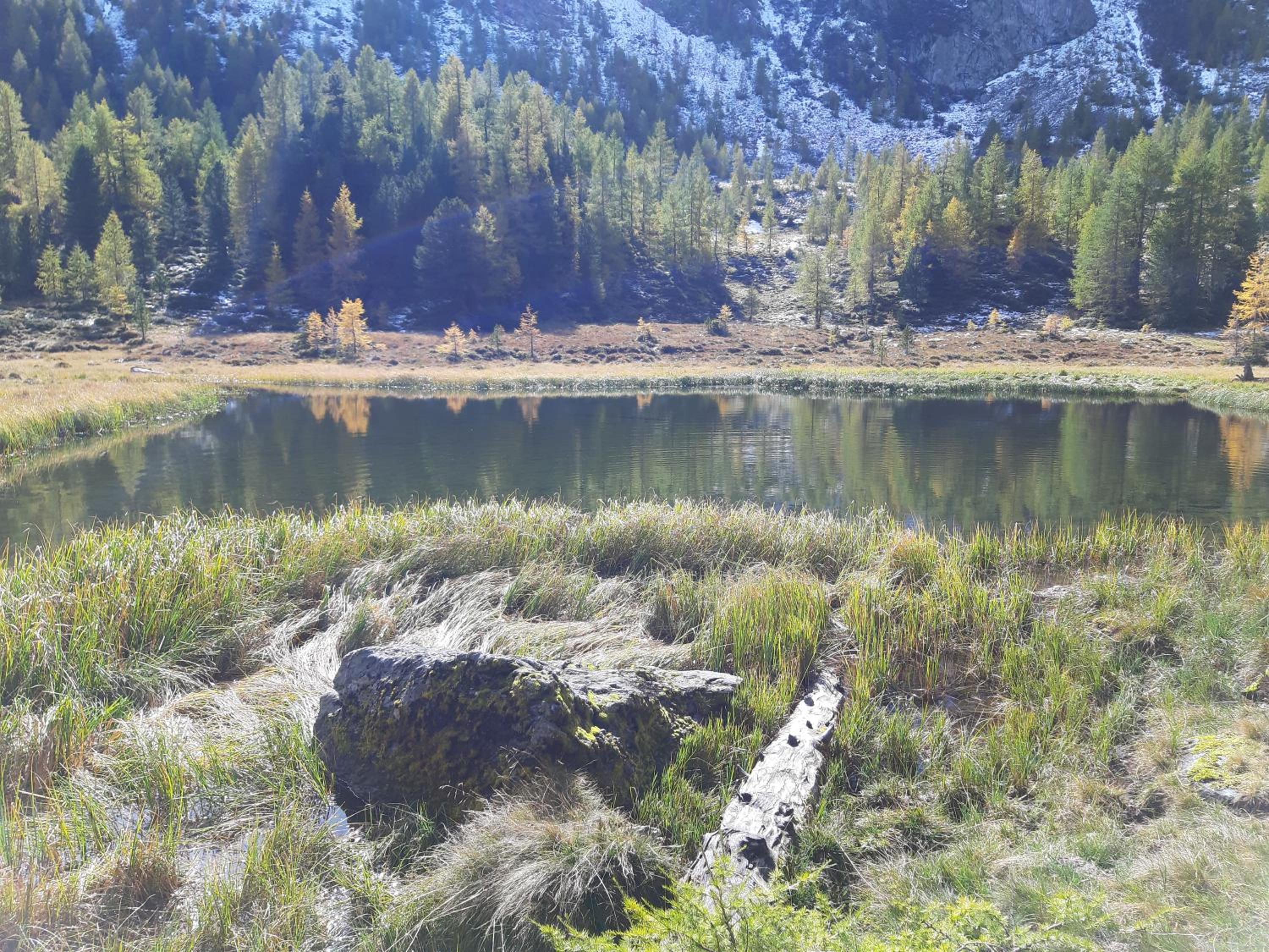Almhaus Kärnten Flattnitz