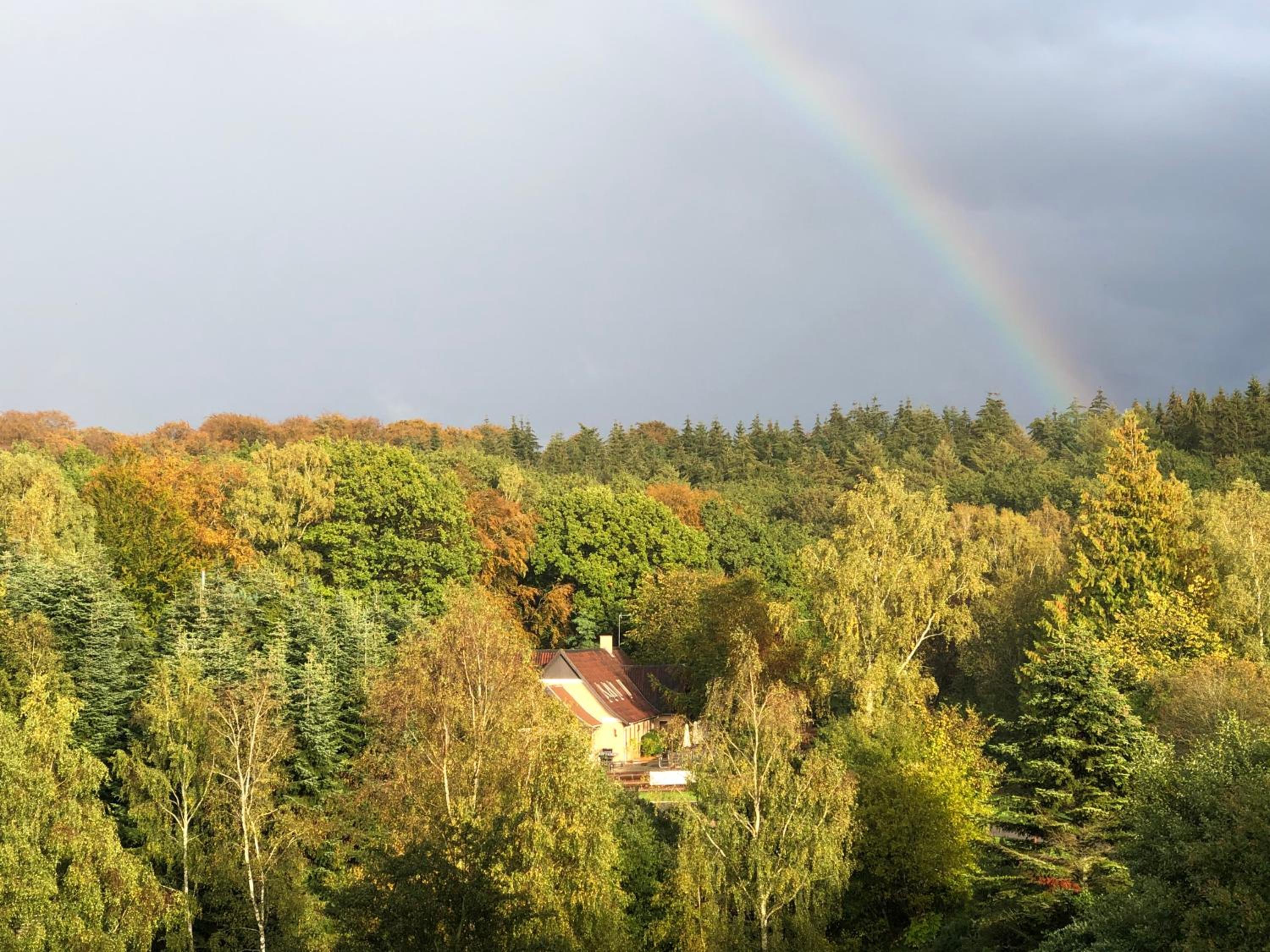 Borgdal