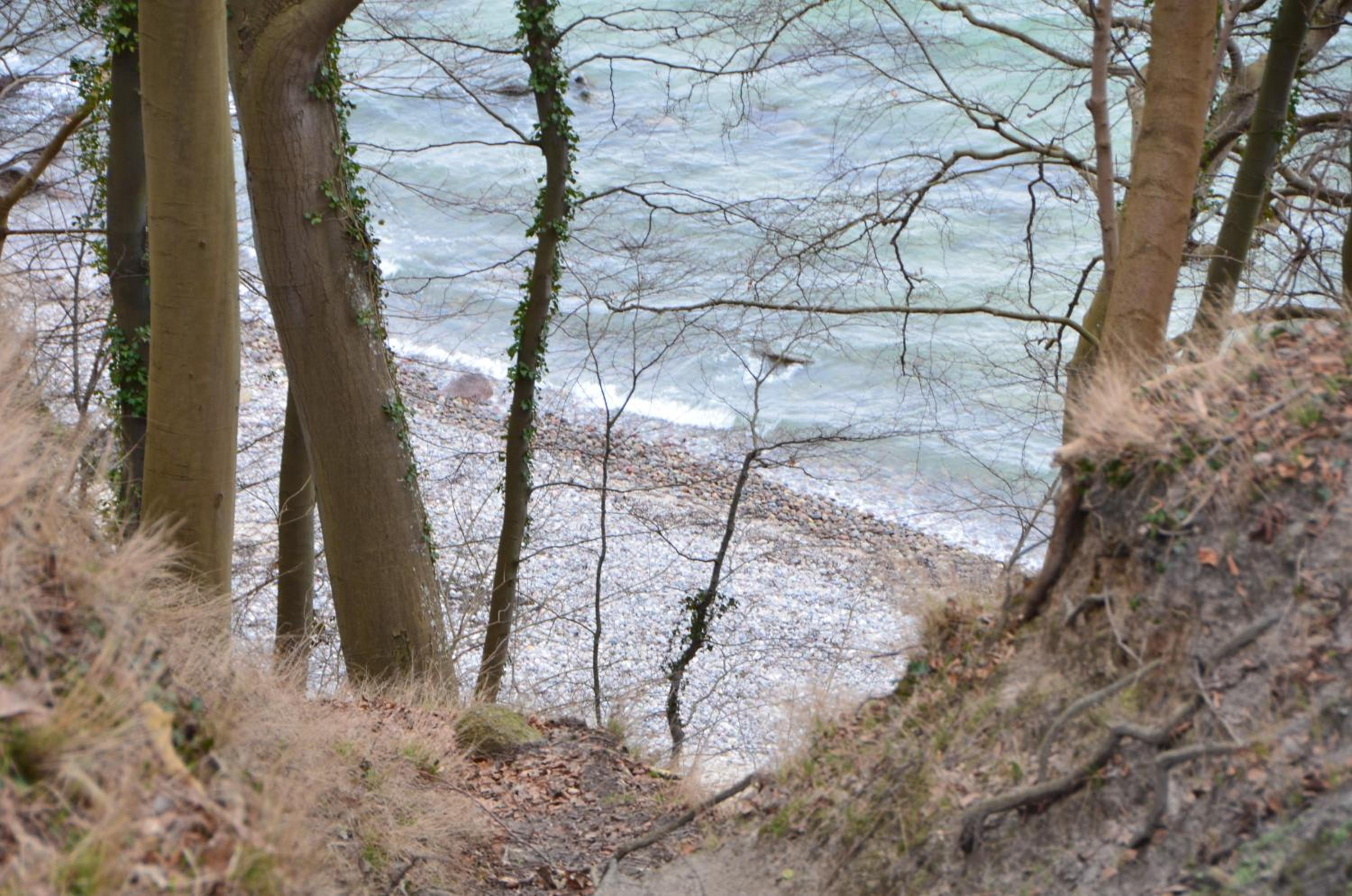 Ferienwohnung Käpt'n Pugs Kajüte auf Rügen view 5
