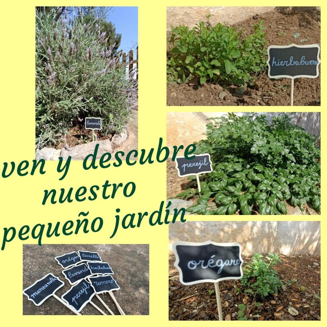 Photo 42