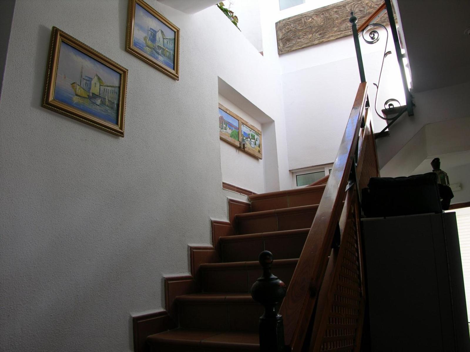Photo 62