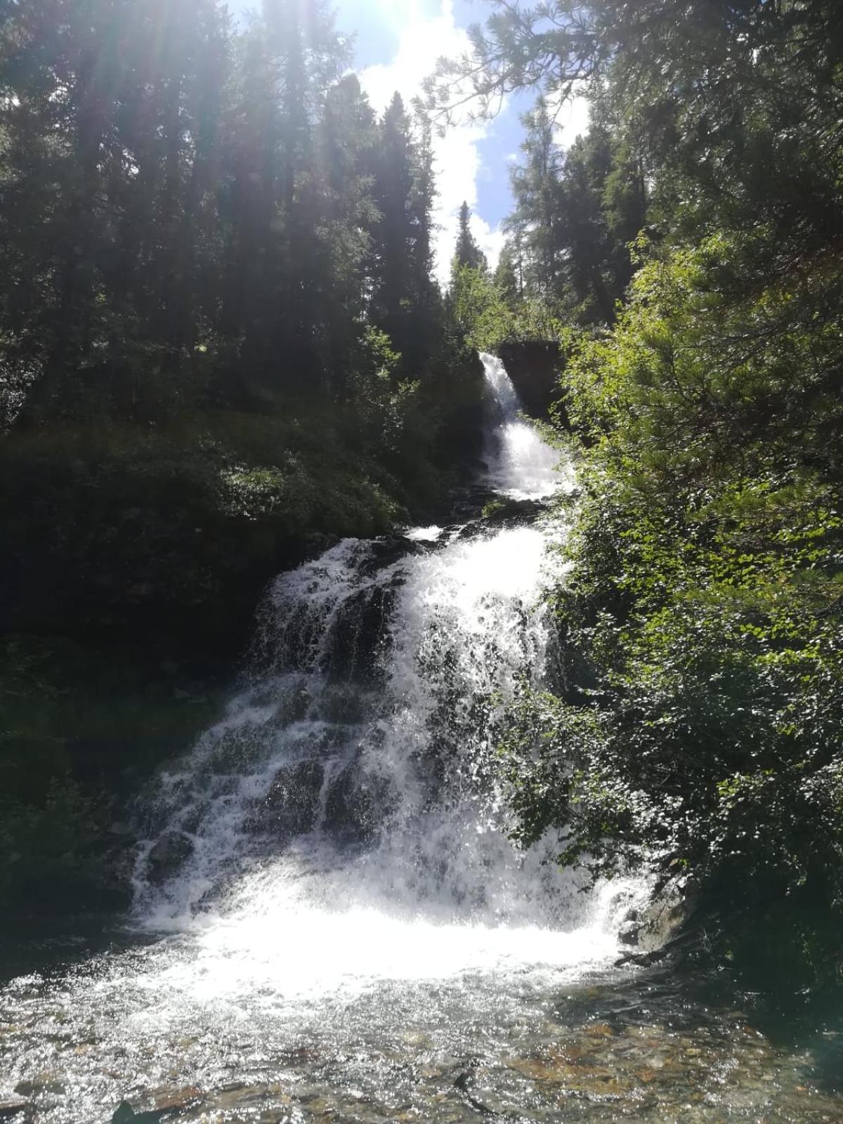 Photo 41