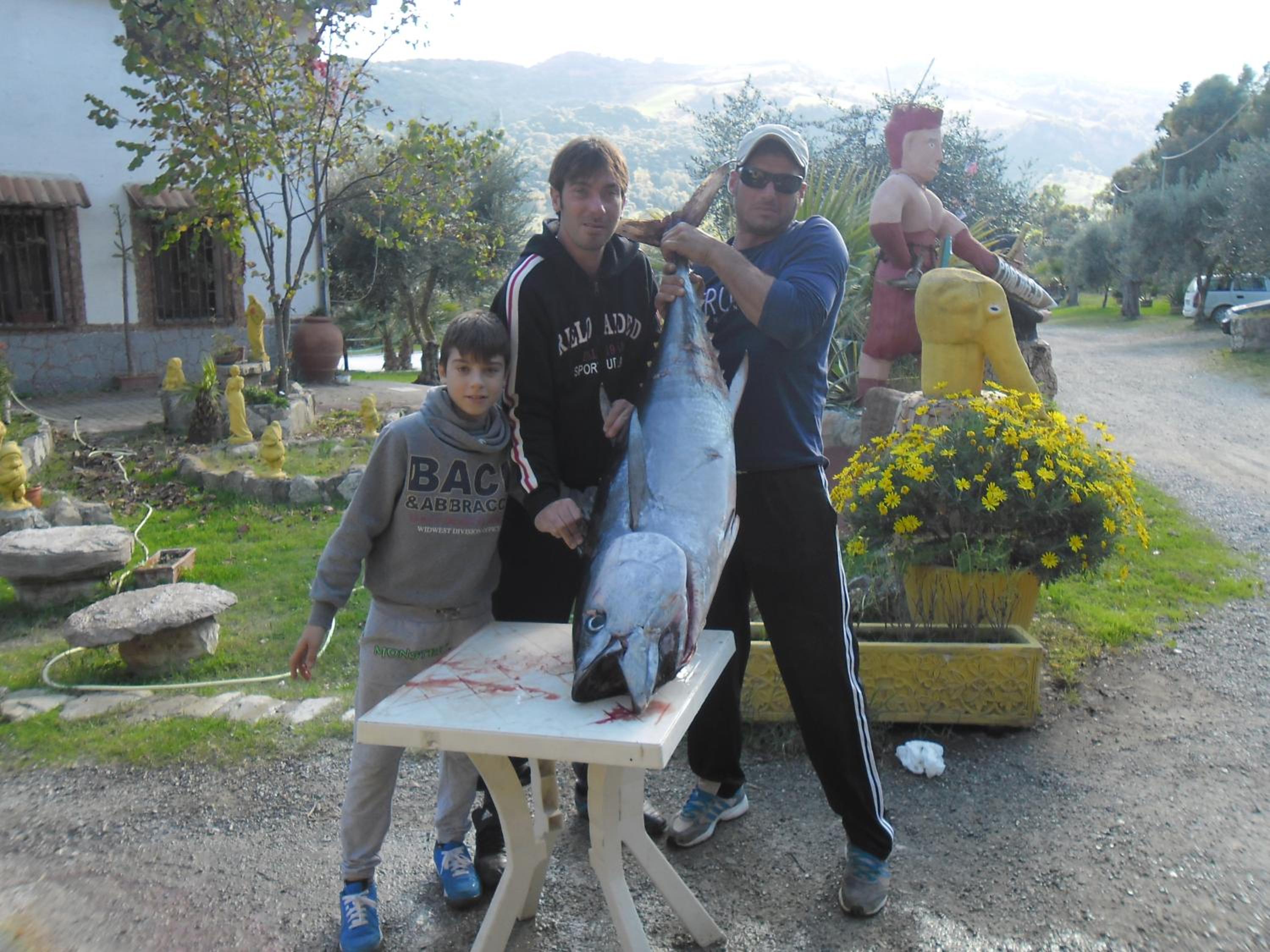 Photo 23