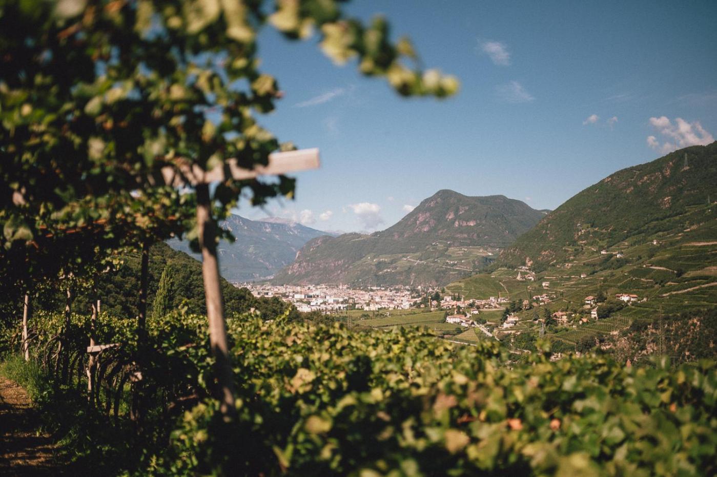 Pitzner - Winery & Suites 15