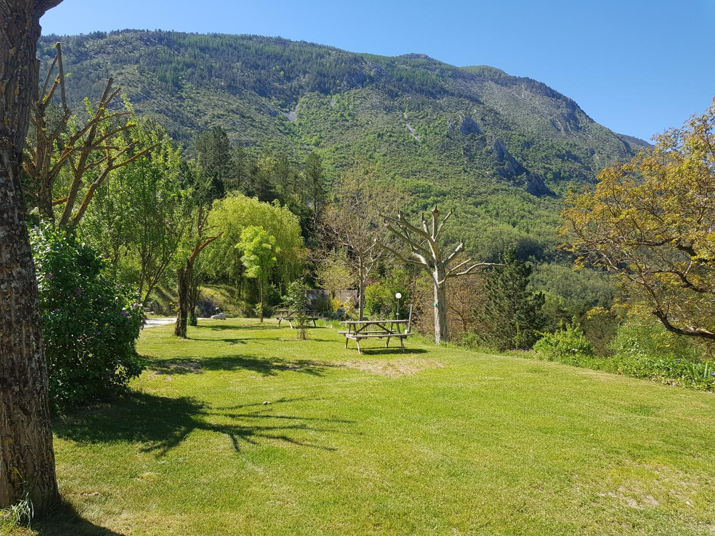 Photo 31