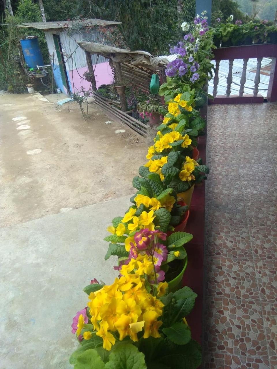 Photo 19