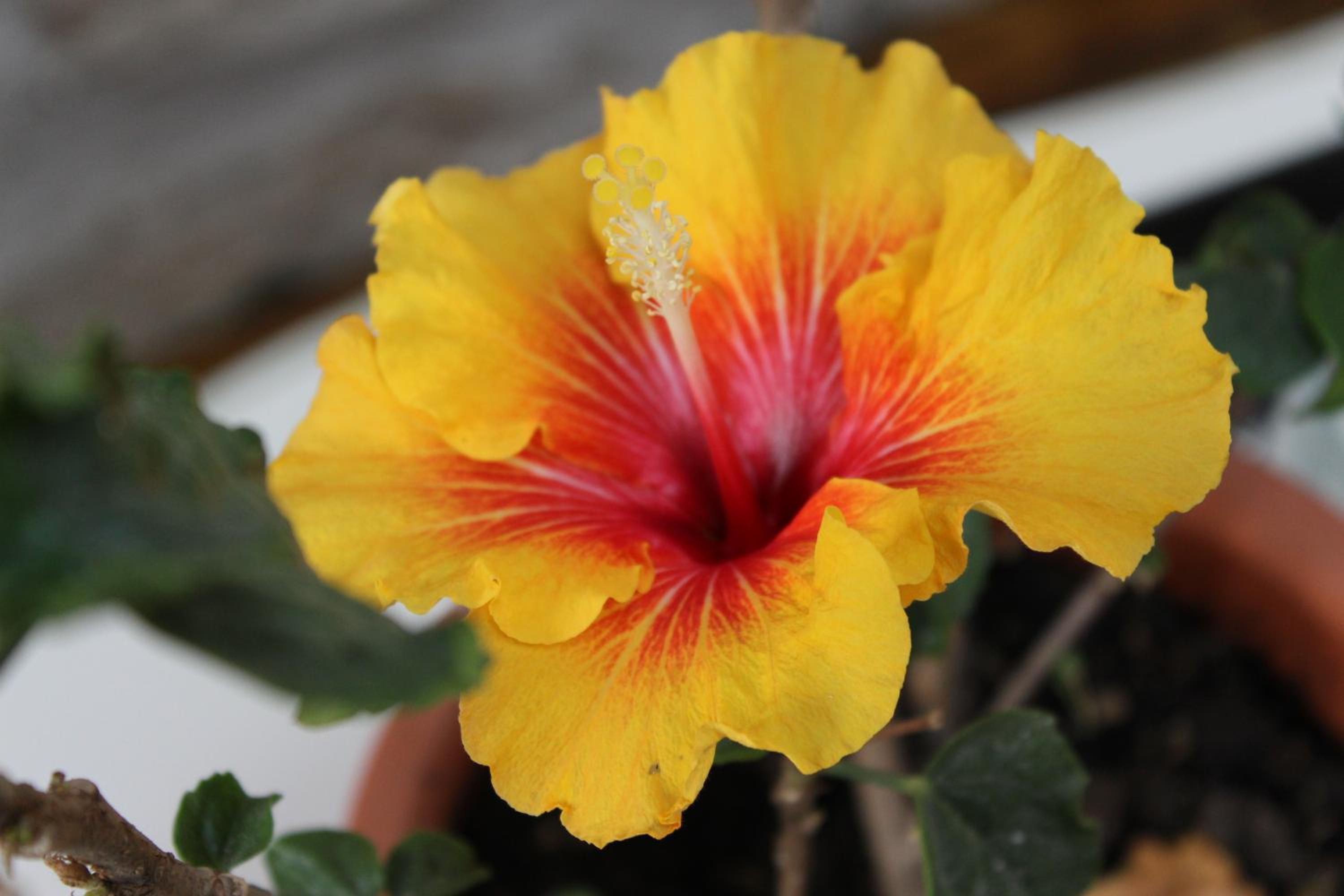 Eski Tas Hotel - Image 51