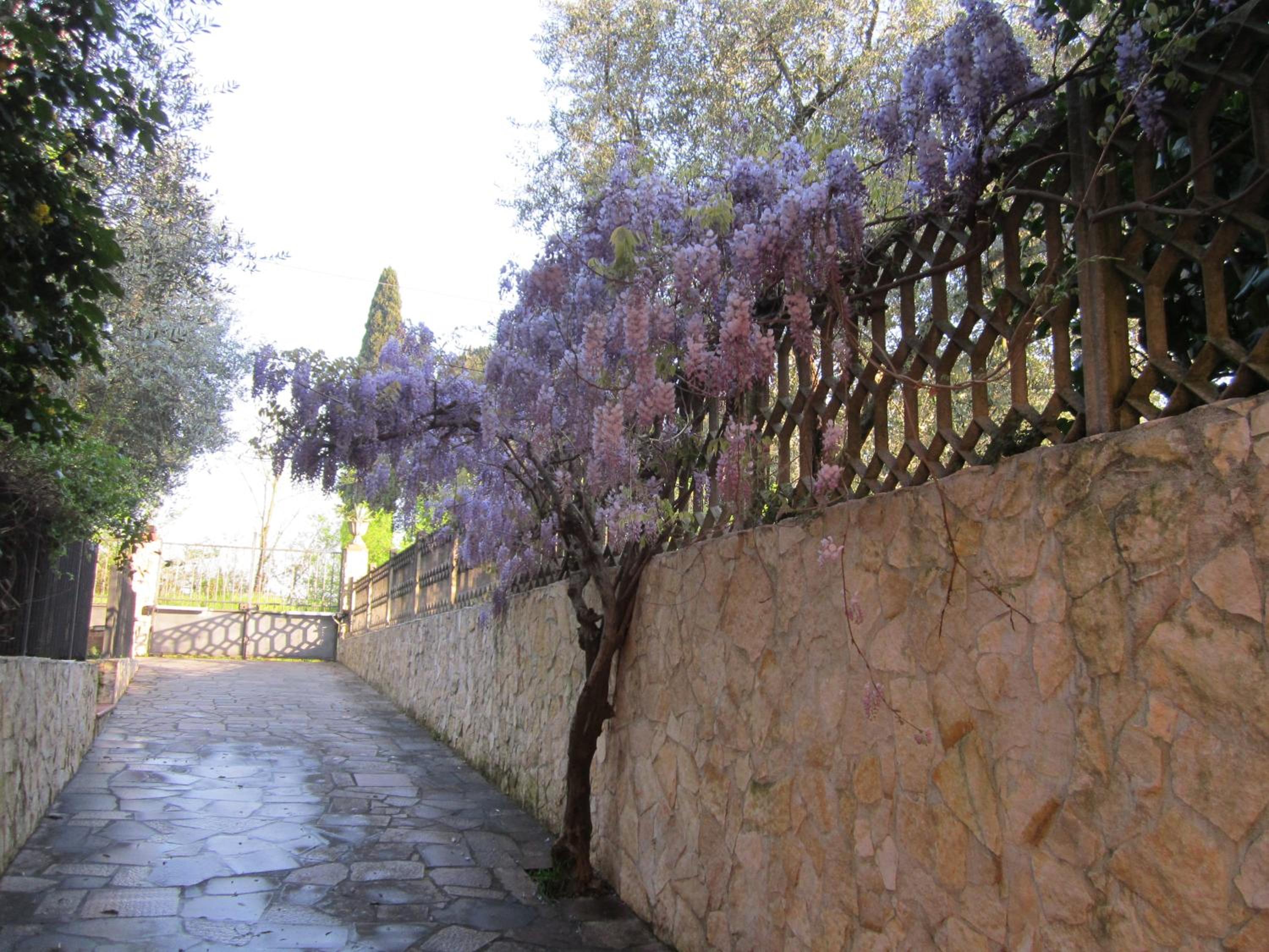 Photo 24