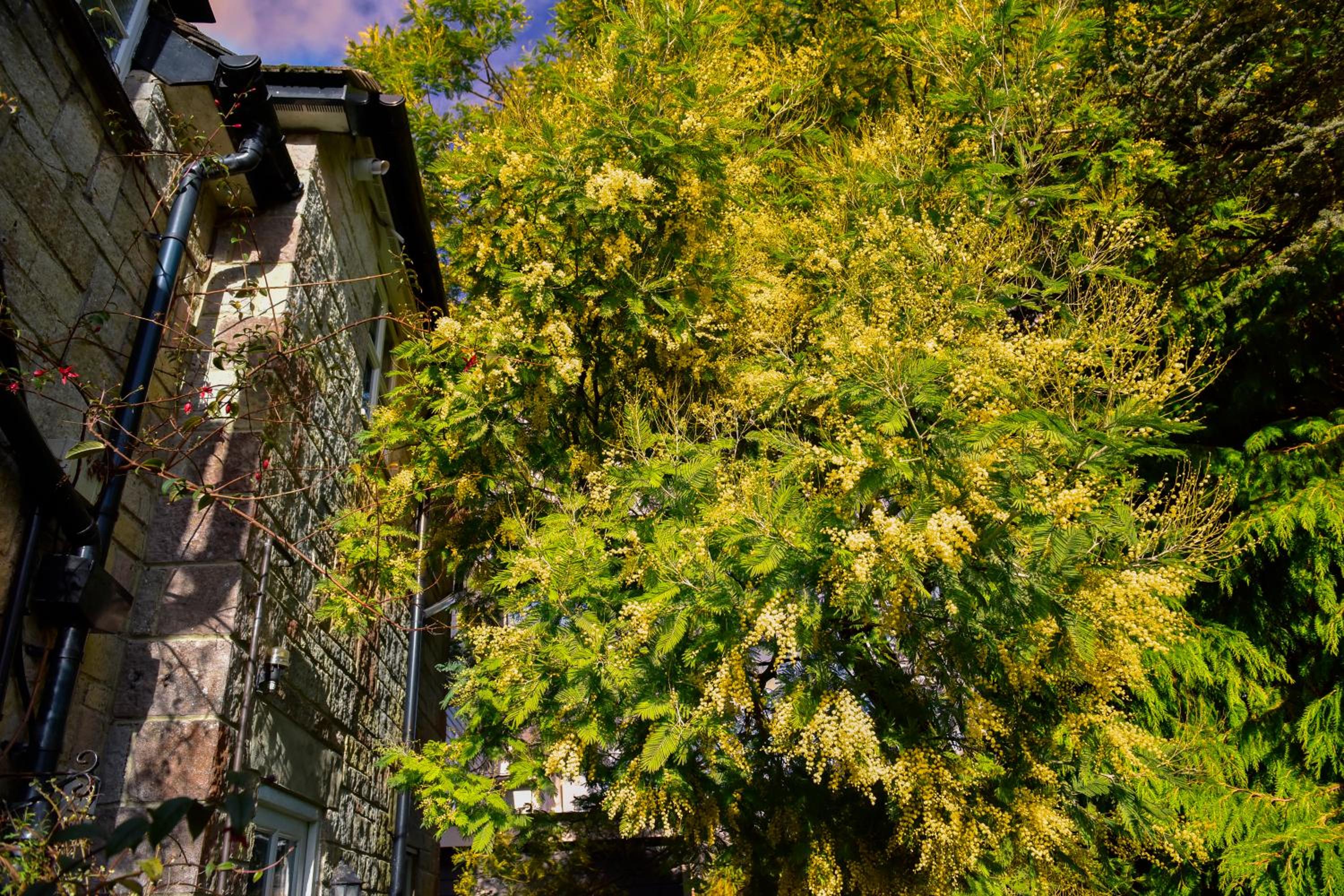 Ward Avenue B&B