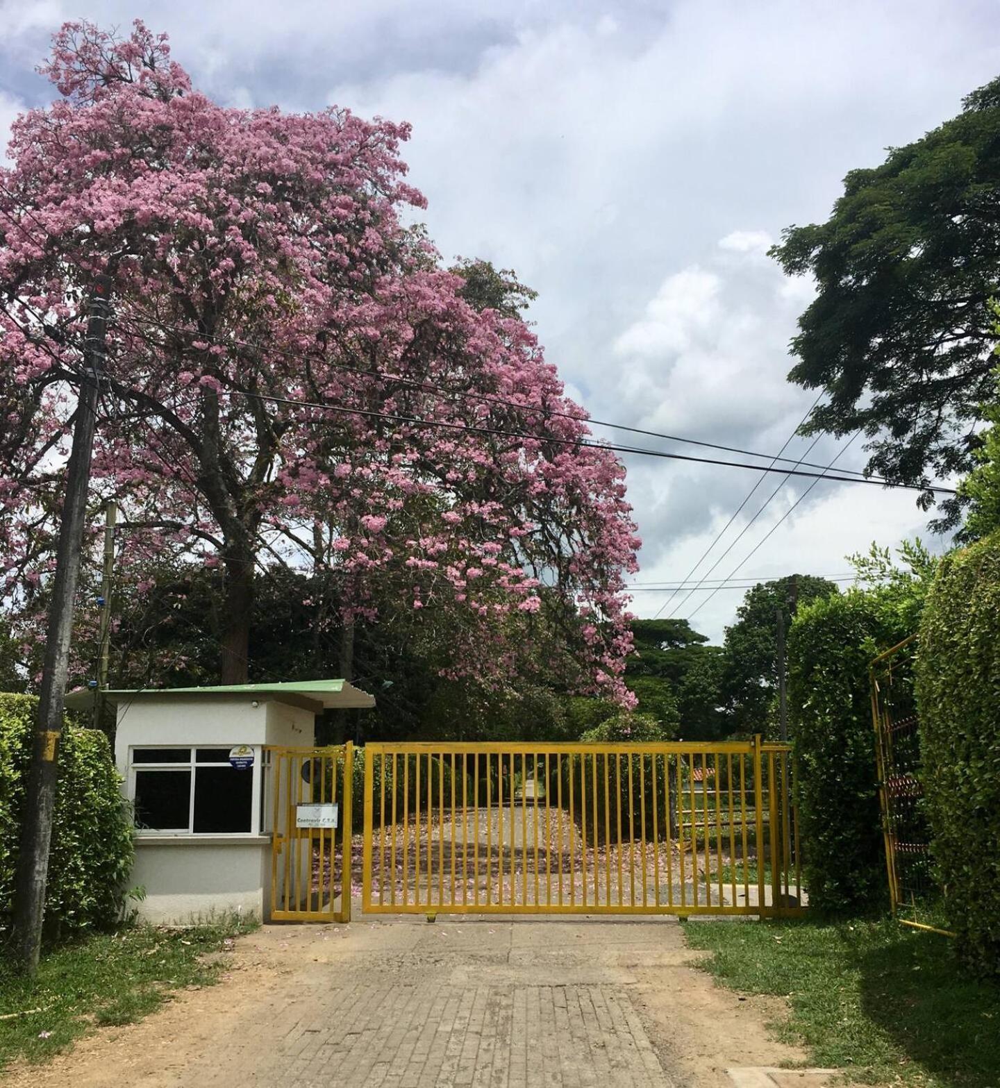 El Jardín de los Colibríes - Pereira, Risaralda