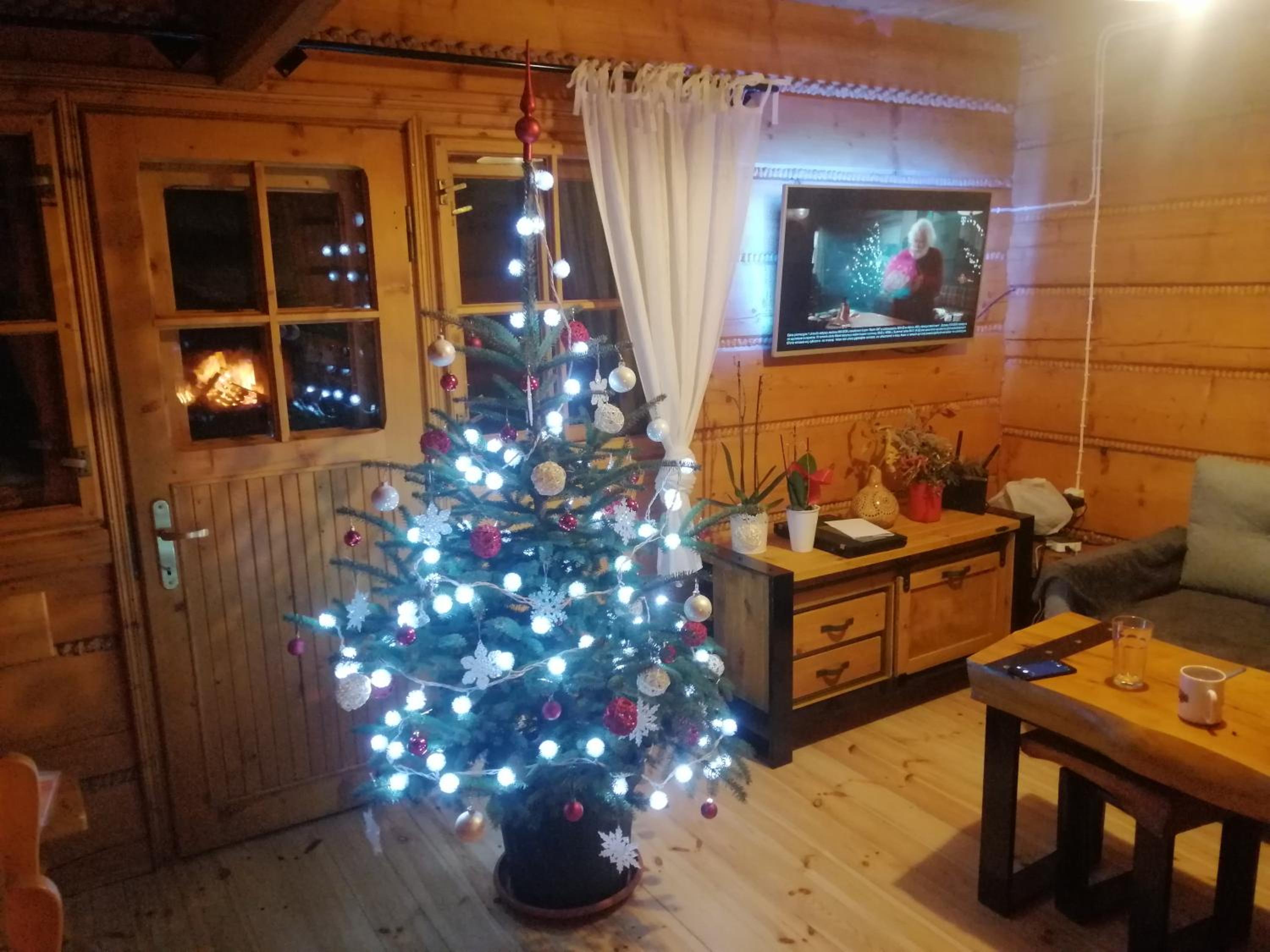 Photo 24
