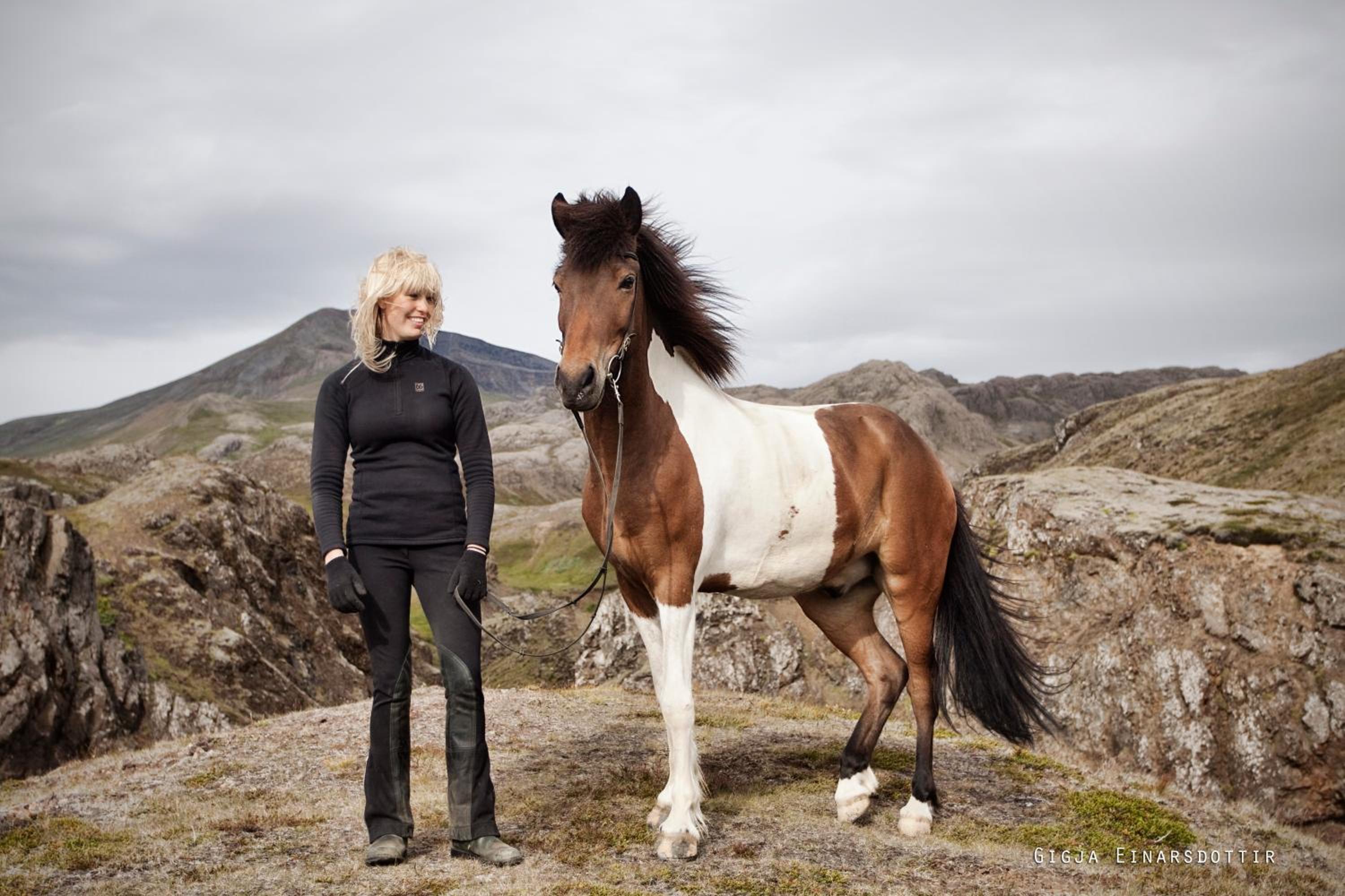 Hestaland Guesthouse Horse Farm Stay
