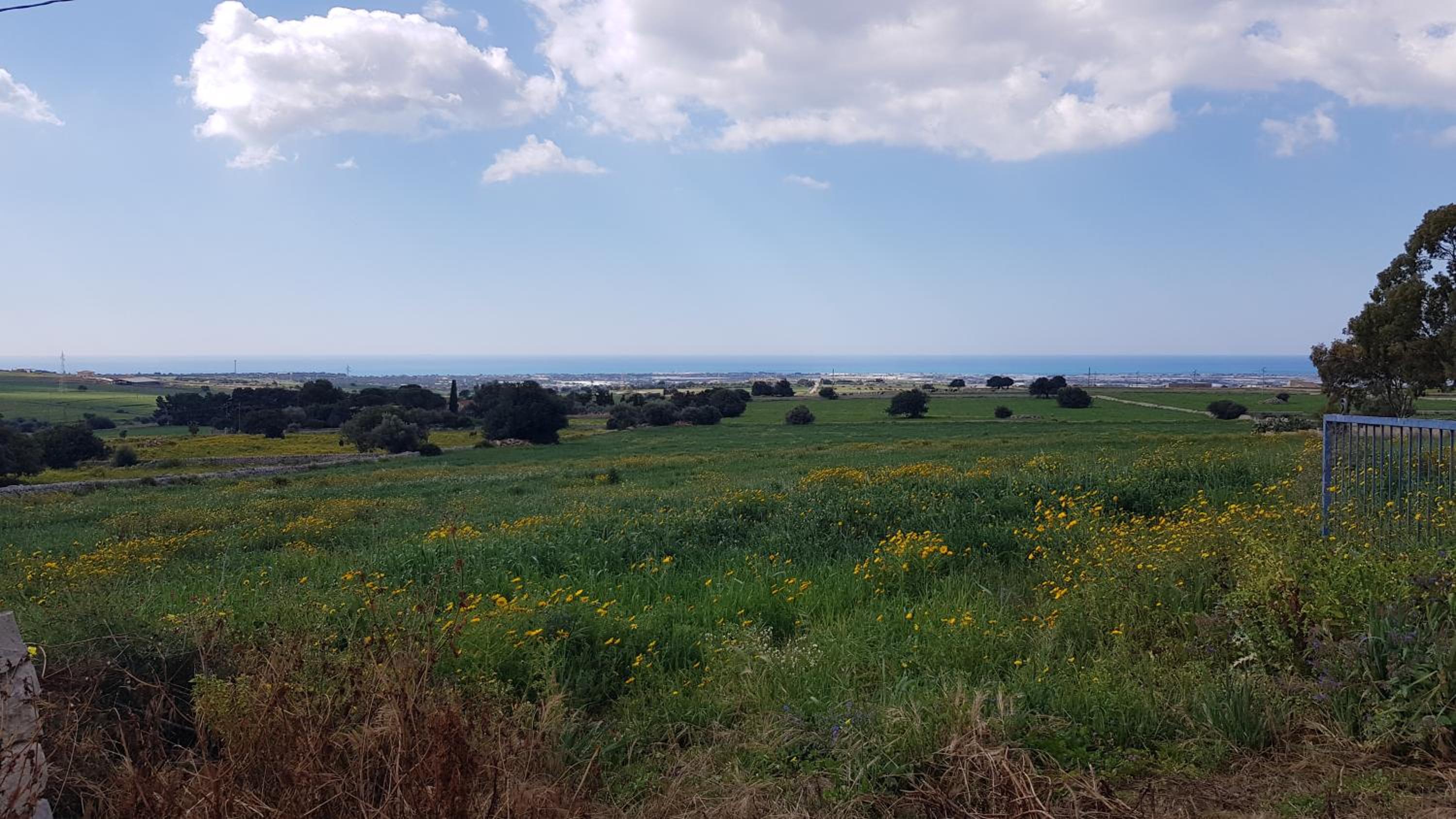 Homidoo Country