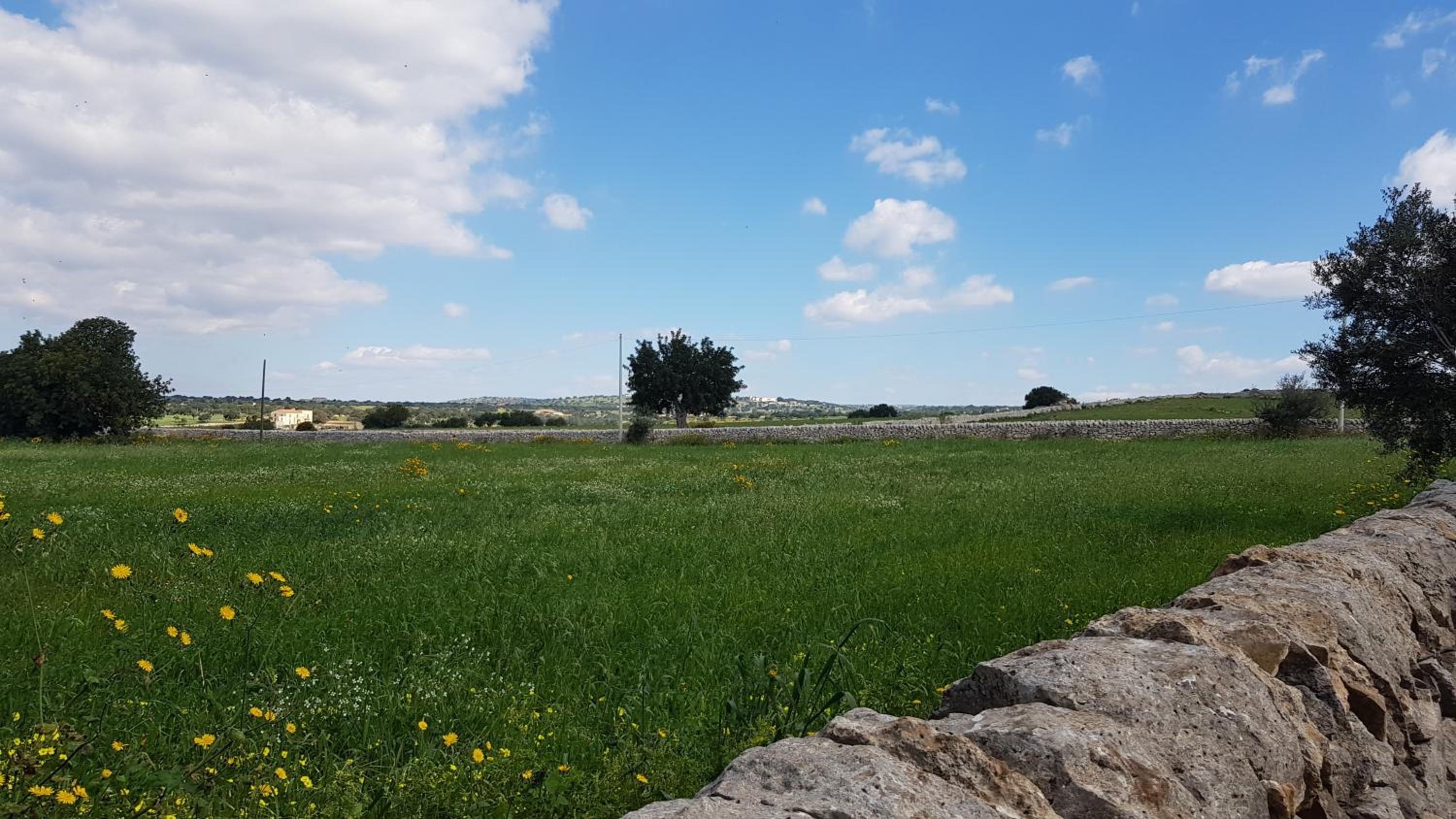 Homidoo Country